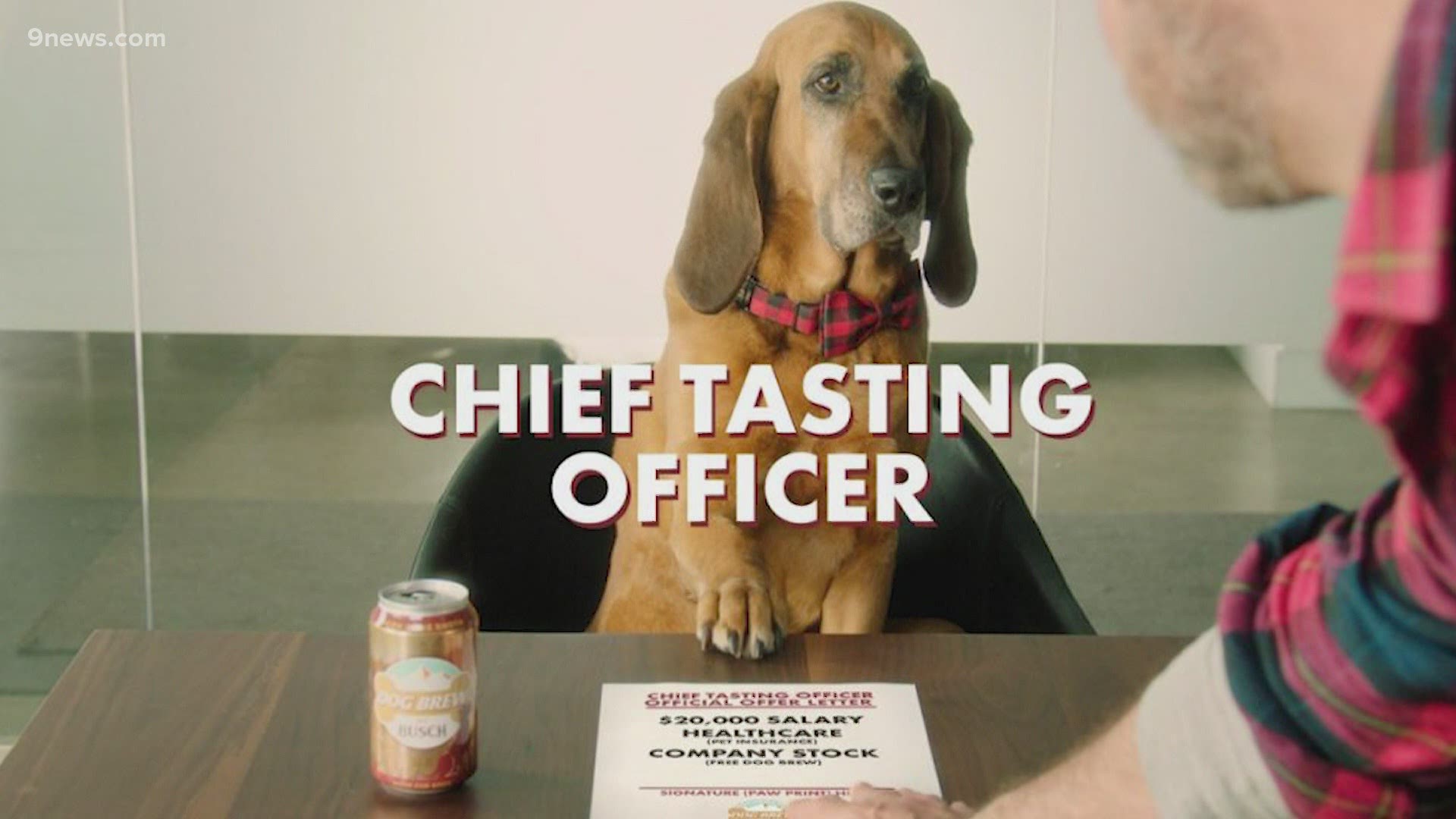 In Other News: Tax filing deadline pushed to May 17, Facebook testing video  speed dating app and Busch looking for canine taste tester for dog brew |  