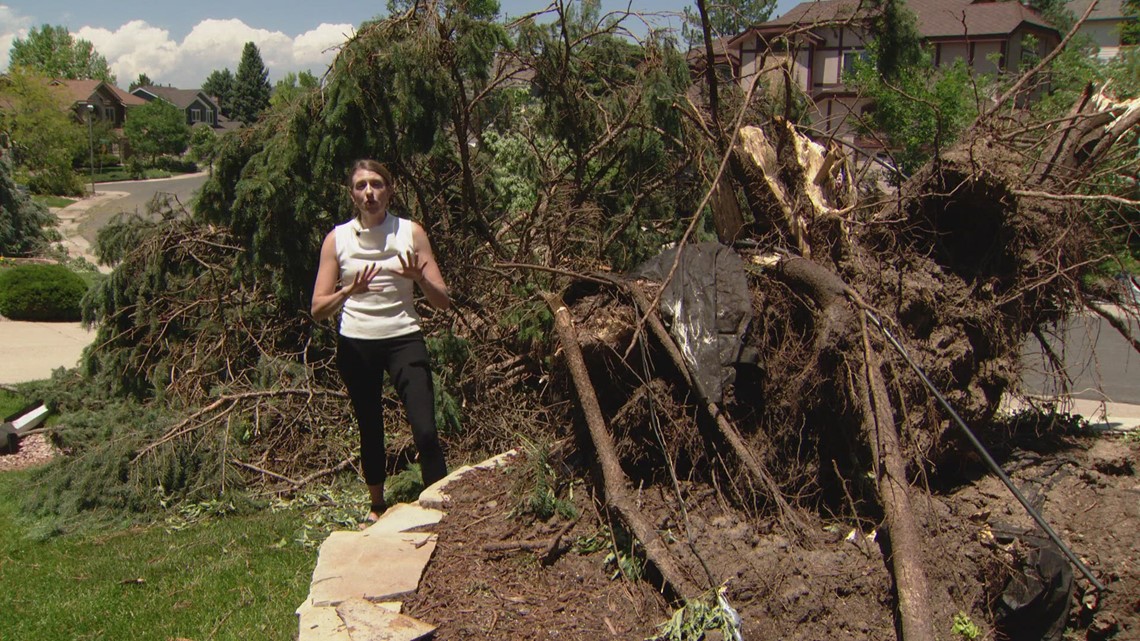 20-year-old deals with tornado clean-up while parents in Europe - Vimarsana News