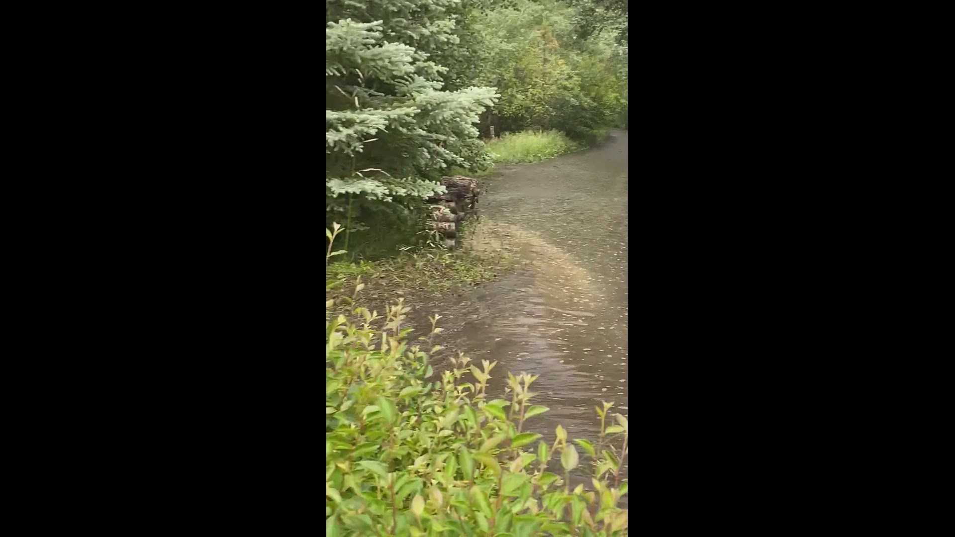 Glen Haven flood today