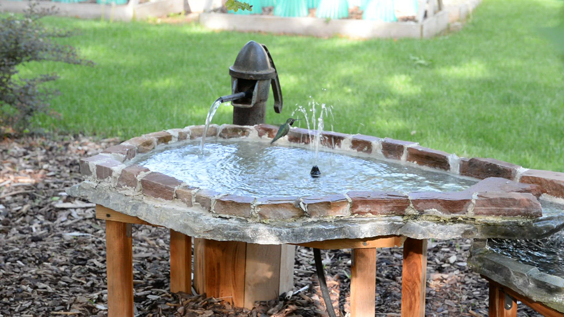 9NEWS viewer Carl Paulson said he sees hummingbirds visit his water feature in the backyard almost every day in the warmer months.
