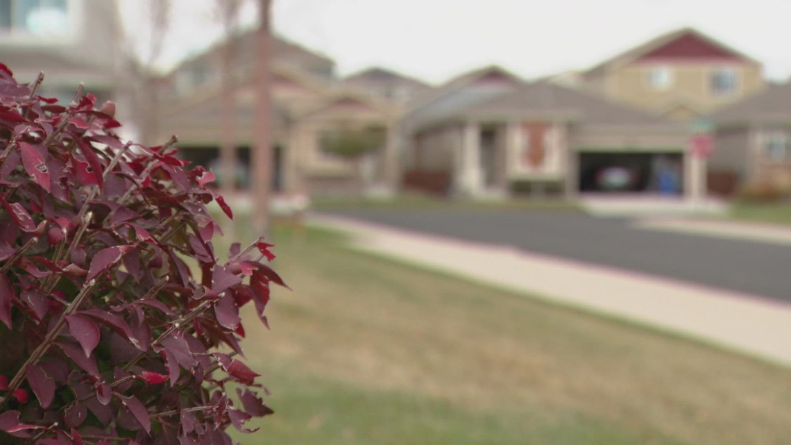 Northern Colorado woman sentenced for stealing $650,000 in HOA funds