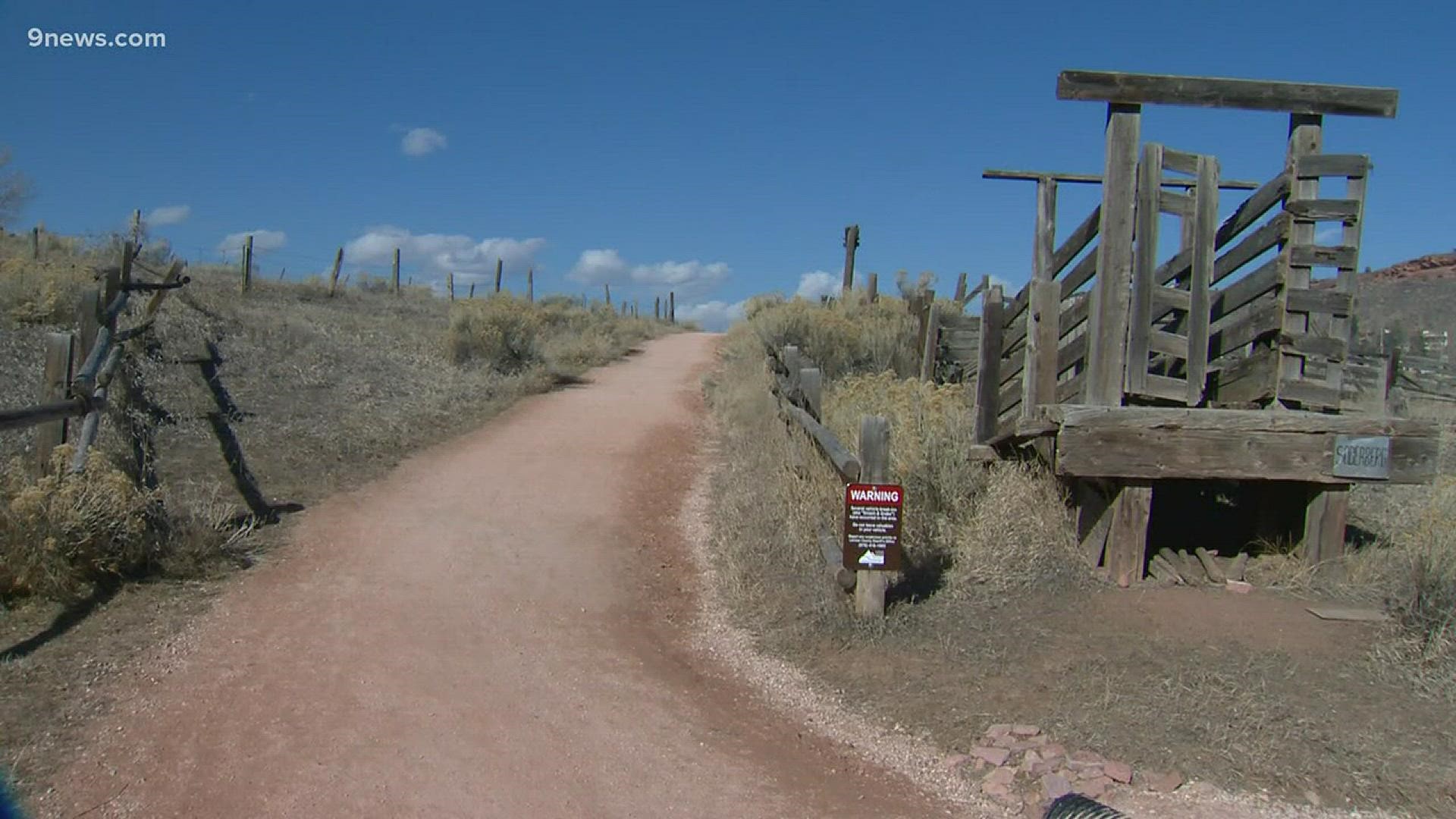 The trail runner who strangled the mountain lion to death during the attack prompted Colorado Parks and Wildlife to conduct an investigation. Big cat activity is being monitored on the trails.