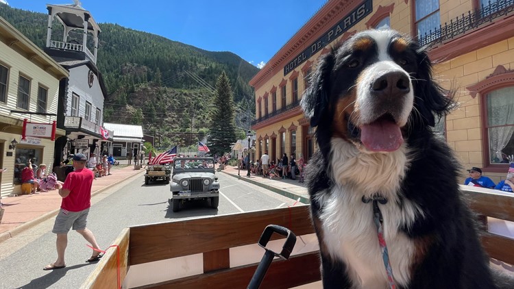 Dog mayor of Colorado town joins 1,000 other dogs at Coors Field