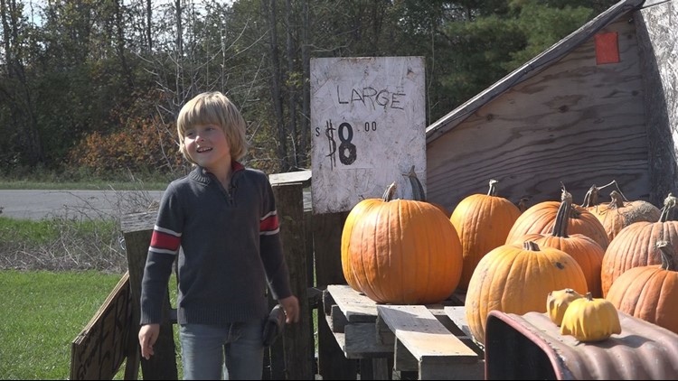 The 6-year-old Michigan boy has sold more than 150 pumpkins already to raise money for a diabetic alert dog to accompany him on the school bus.