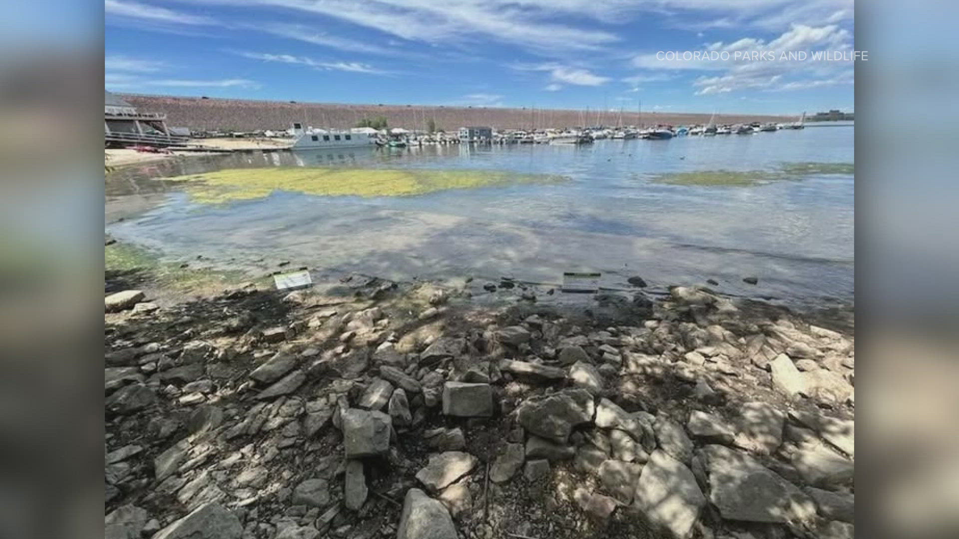 The algae can multiply fast and can release dangerous toxins. Officials says anyone who came in contact with the water should rinse off immediately.
