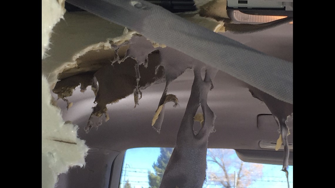 Bear gets into car in Grand County, causes more than 4,000 in damages