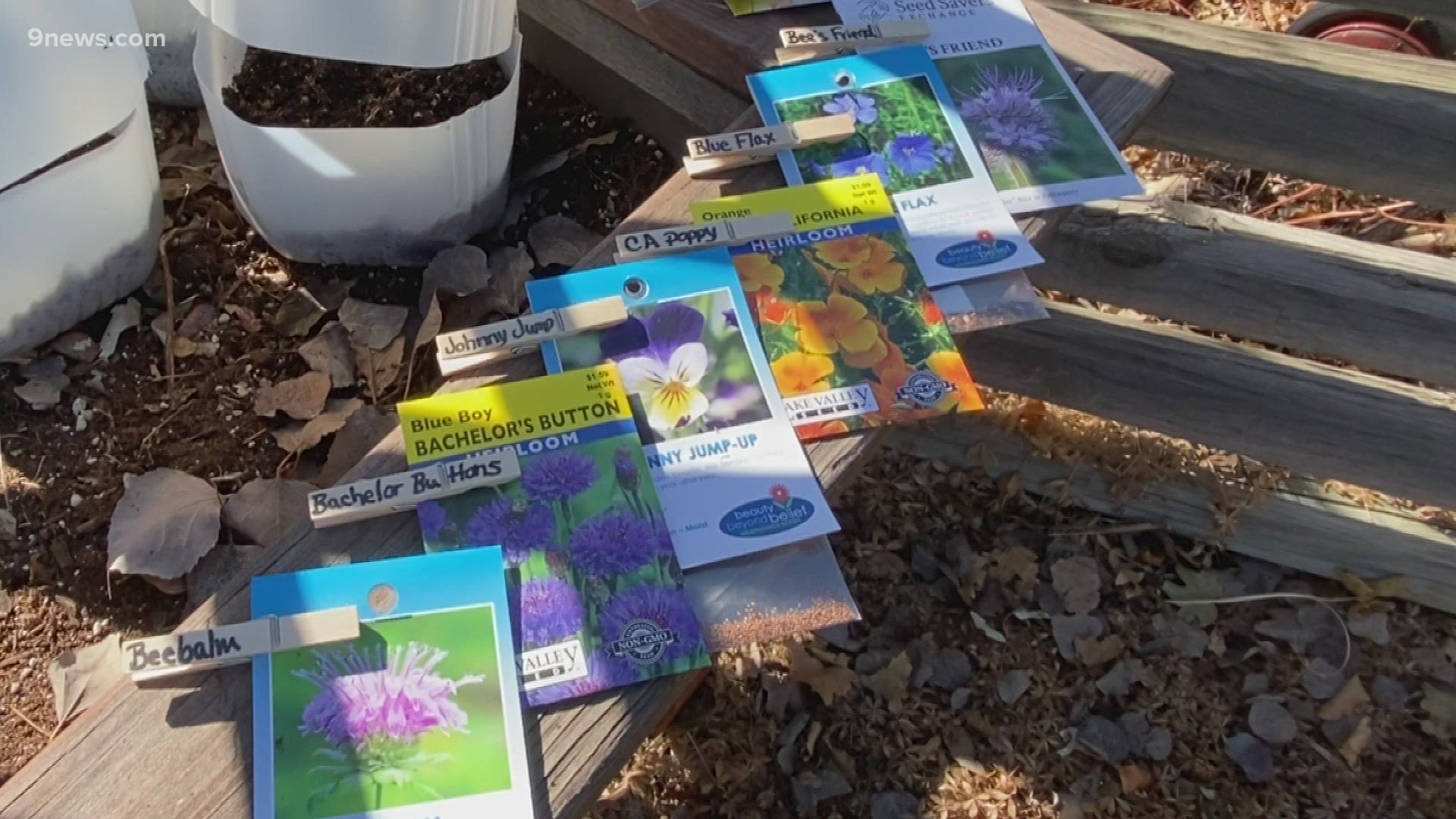 Winter sowing is a fun, economical way to garden in the winter.