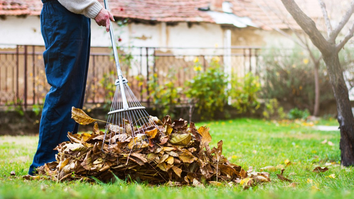 Don't Throw Away The Leaves On Your Lawn This Fall, Say Experts