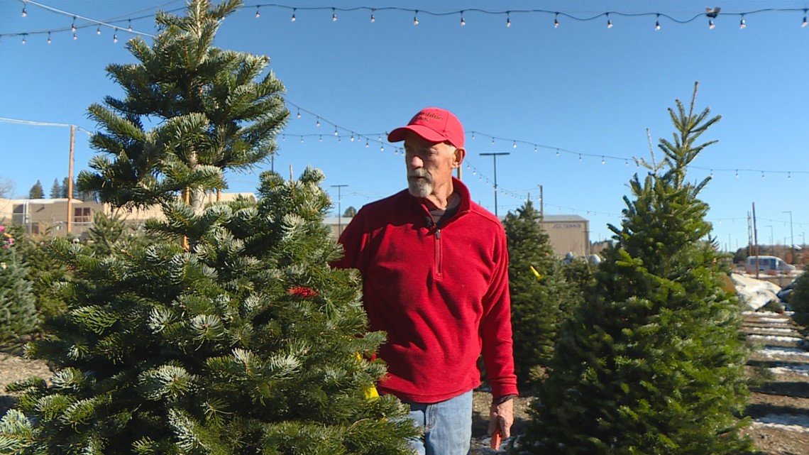 The current Christmas tree shortage can be blamed on the 2008 recession