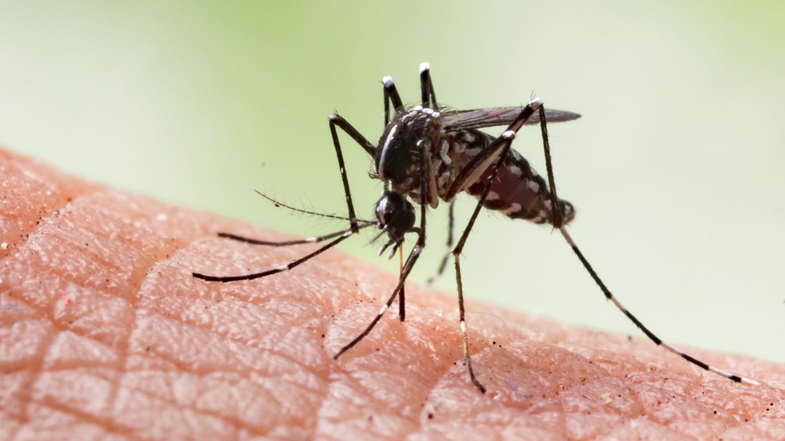 Boulder County reports first case of West Nile virus