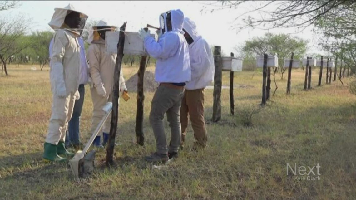 Butterfly Pavilion helping teach farmers in Nepal and Tanzania how to