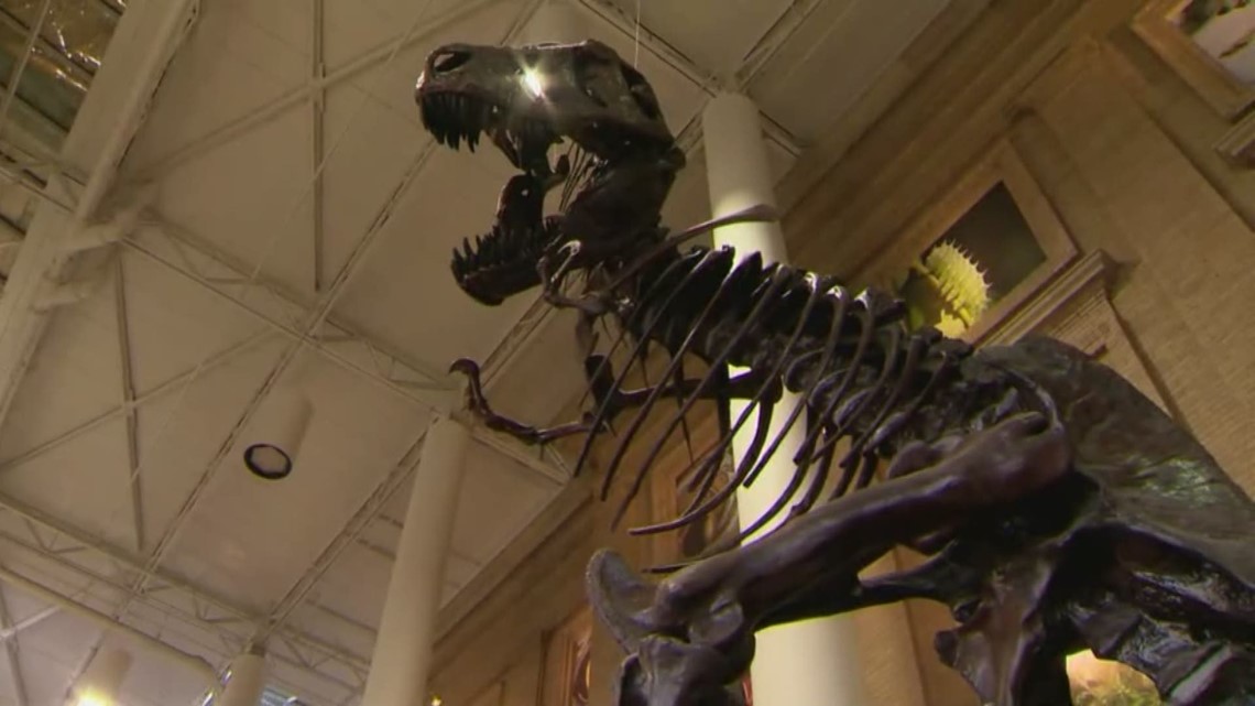 Museum Of Nature And Science Jobs Denver Museum Of Nature And Science Jobs Denver