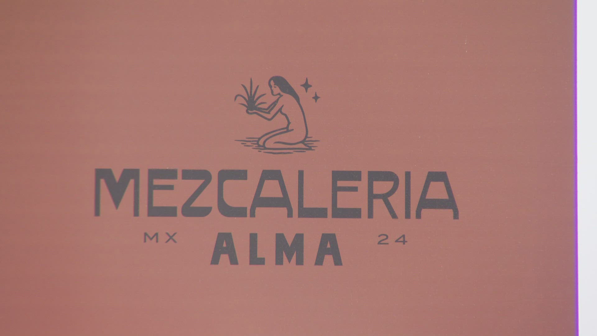 Mezcaleria Alma made the New York Times' list of the 50 best restaurants in America.