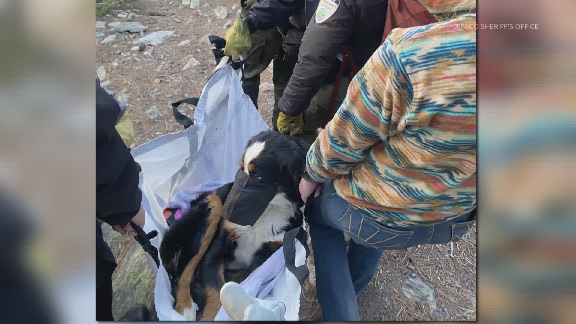 Nova's owners were reunited with the pup after hikers found the dog in Meyer Ranch Park suffering from a broken leg.