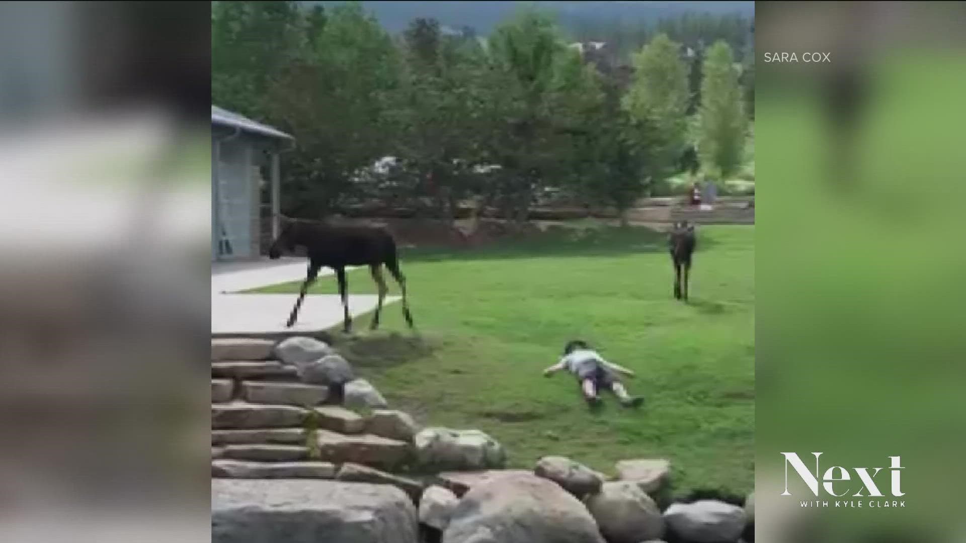 This man hopes his wife doesn't find out about the Most Colorado Thing We Saw Today.