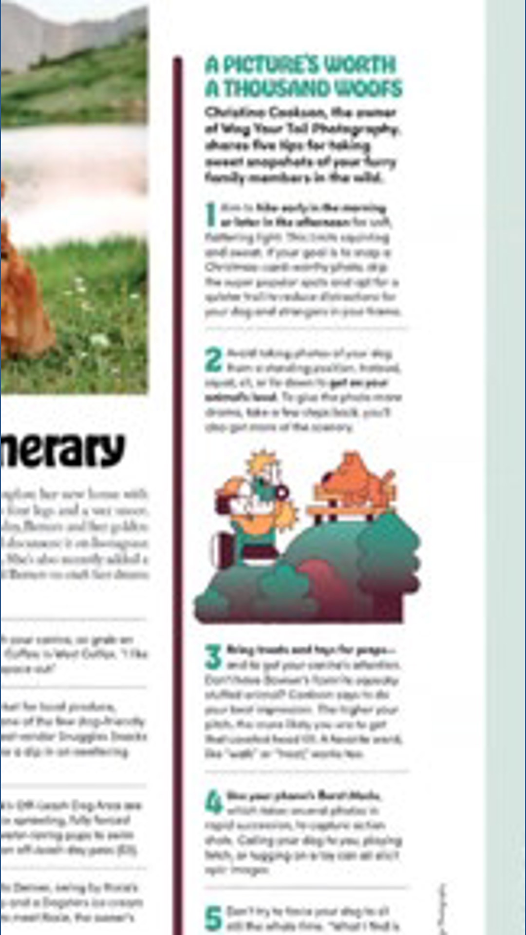 'Gone to the Dogs': 5280 Magazine has 17 things to do with your dog in ...