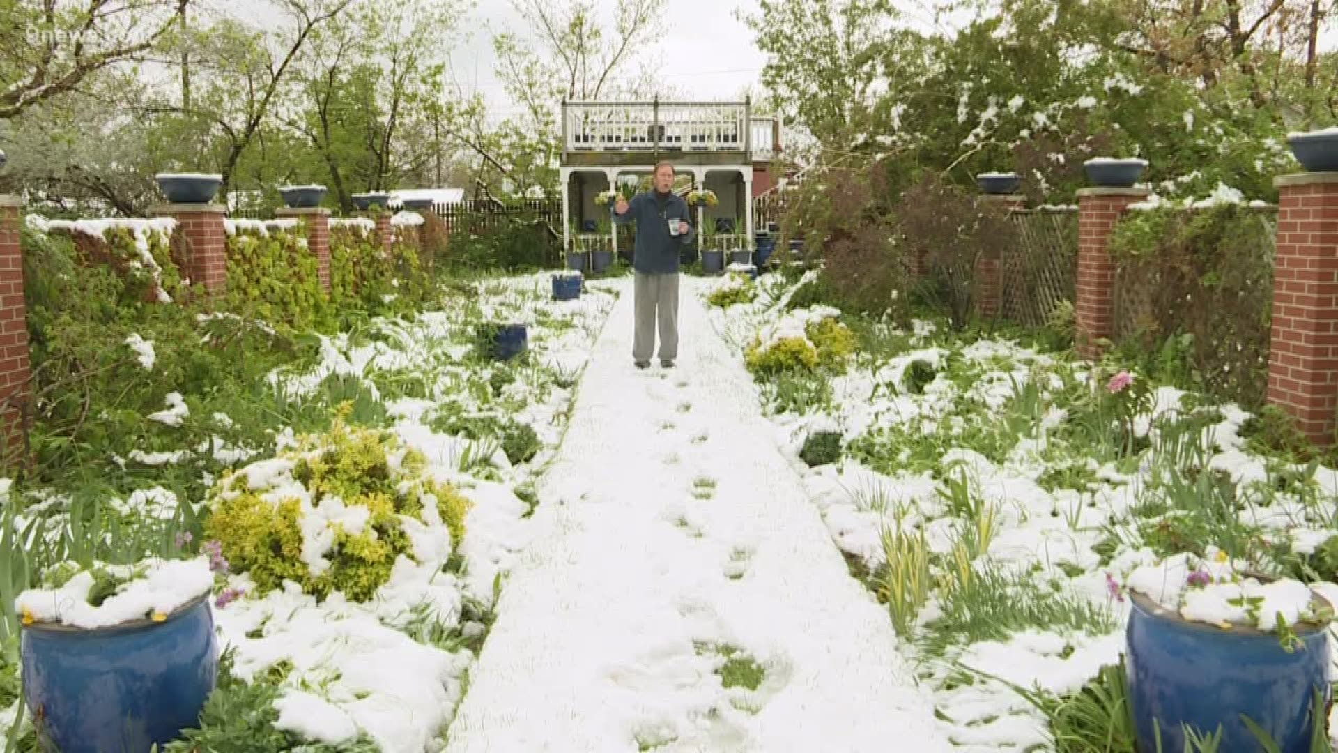 So you planted tomatoes, and then Colorado weather served up some snow. Rob Proctor has tips for getting your garden back into shape.