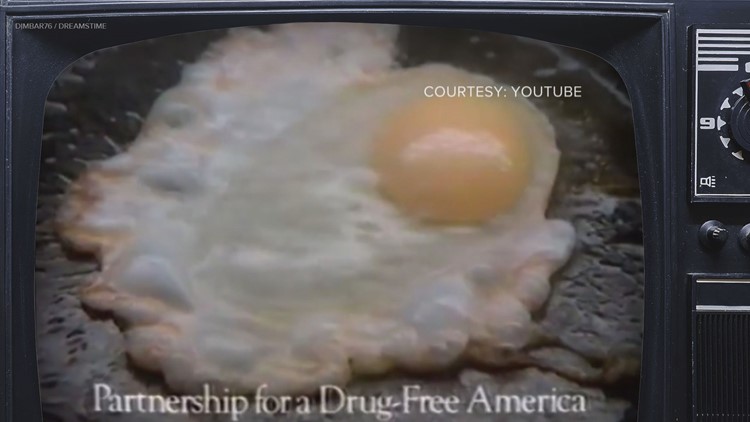 "This is your brain on drugs. Any questions?"