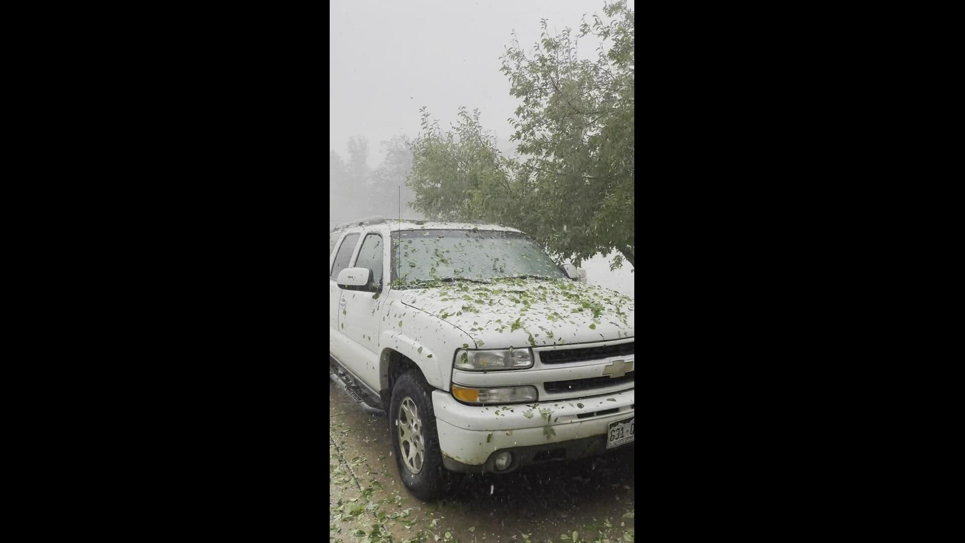 Hail Storm in Littleton
Credit: Molly Henry