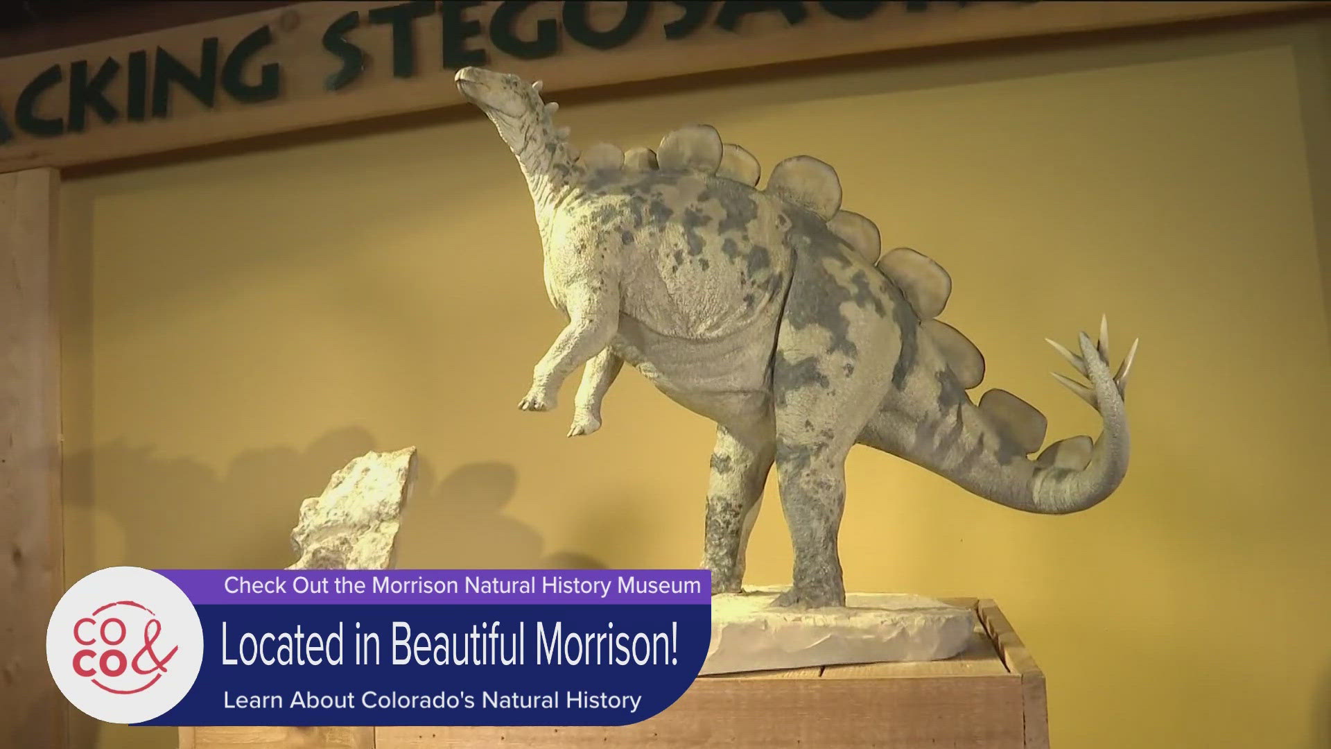 Celebrate Stegosaurus Day with the team at the Morrison Natural History Museum. Learn more and check out their events at MNHM.org.