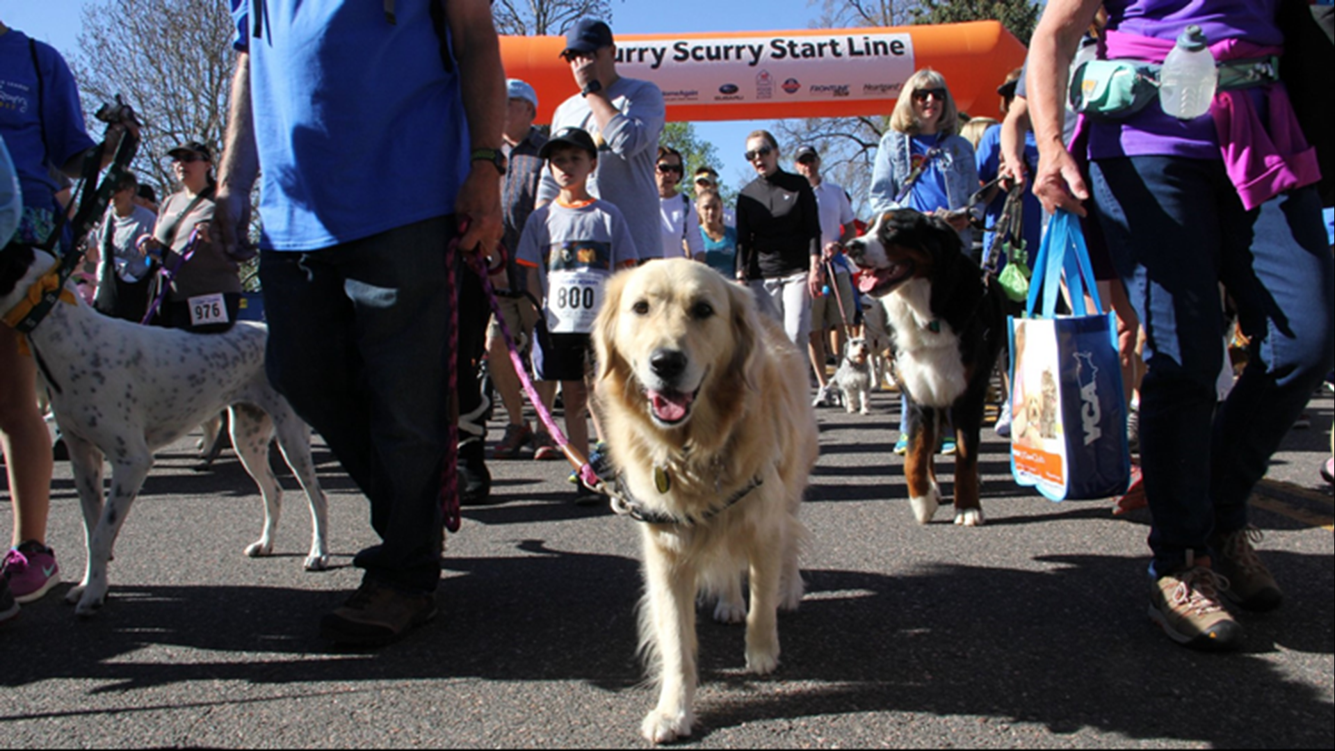 Denver Welcomes May with Cinco de Mayo Festival, Furry Scurry, and Supercross — image 5