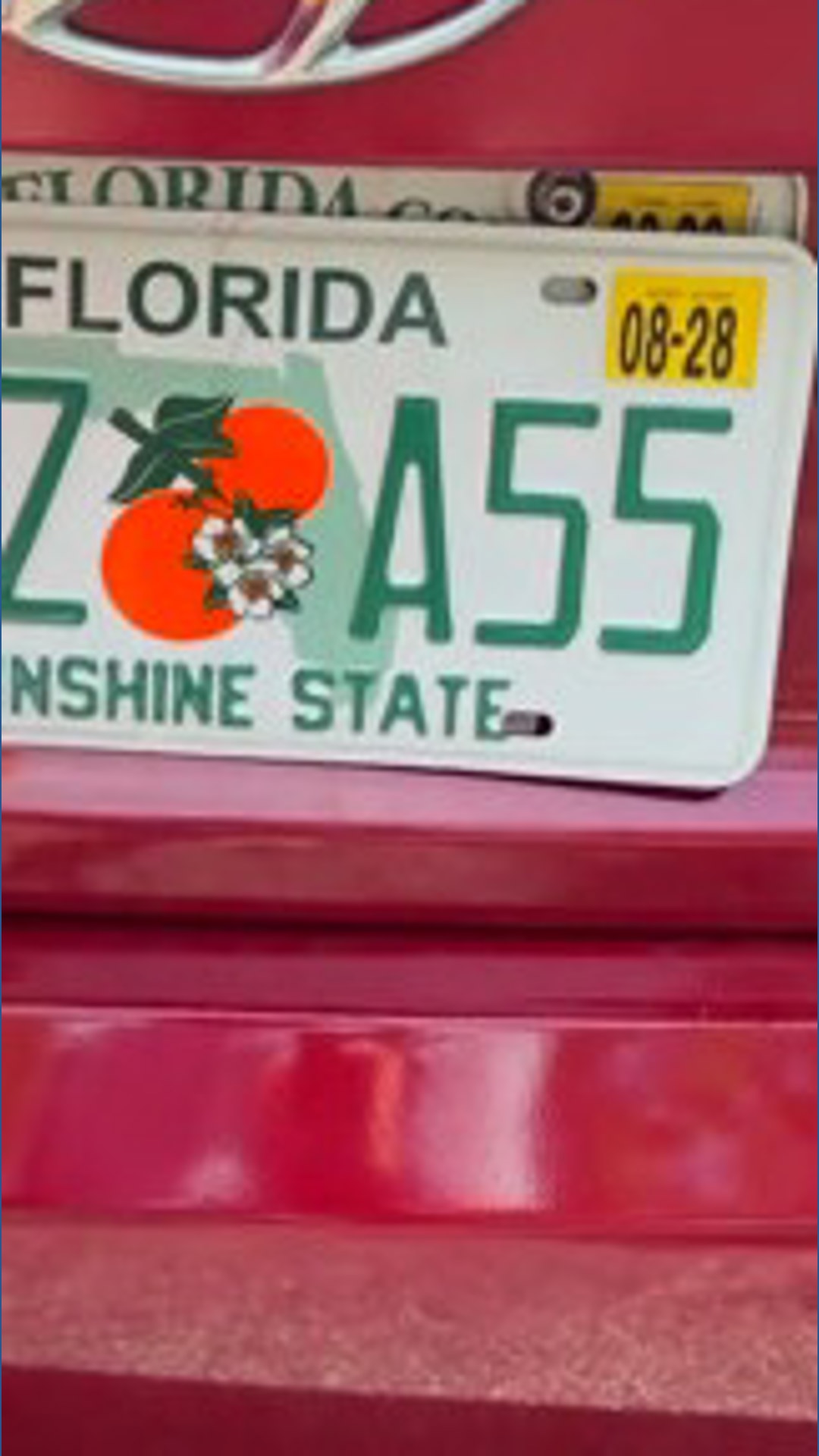 Woman's new license plate carries an unexpectedly risqué message