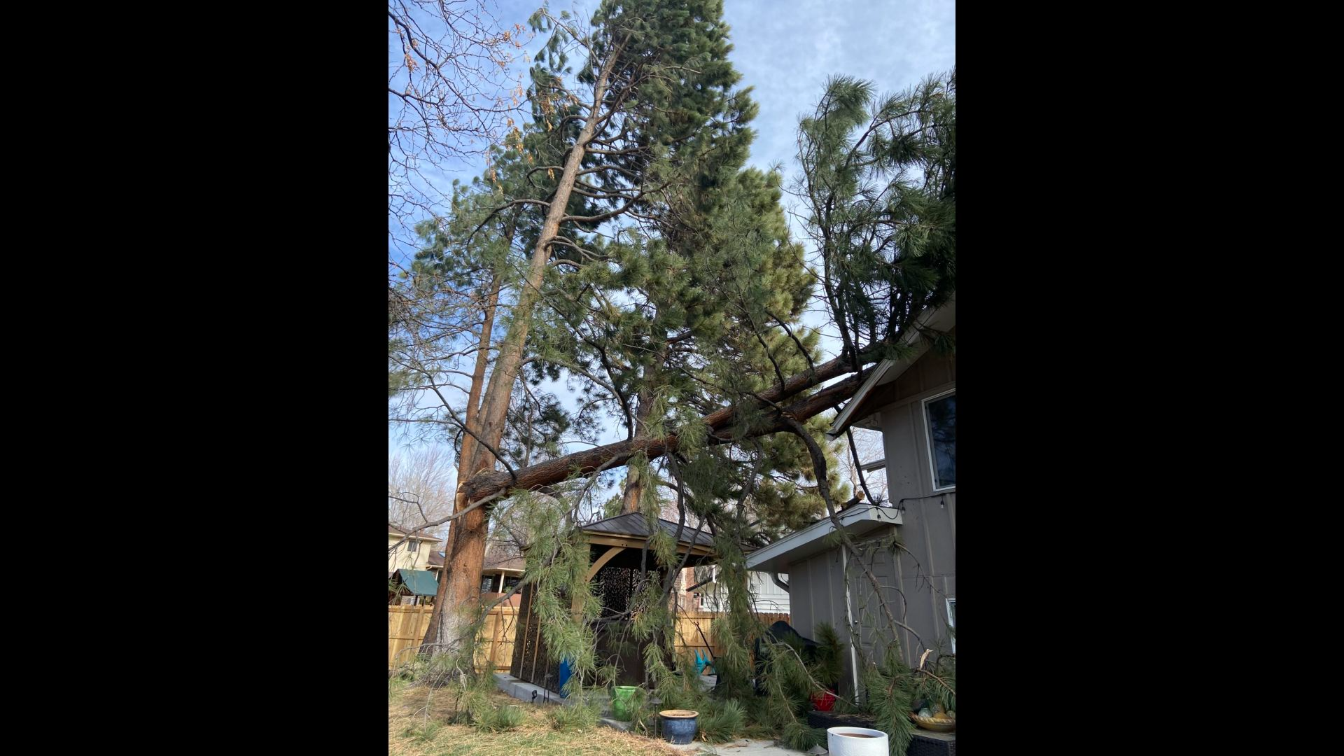 Strong winds bring down power lines, trees across Colorado | 9news.com