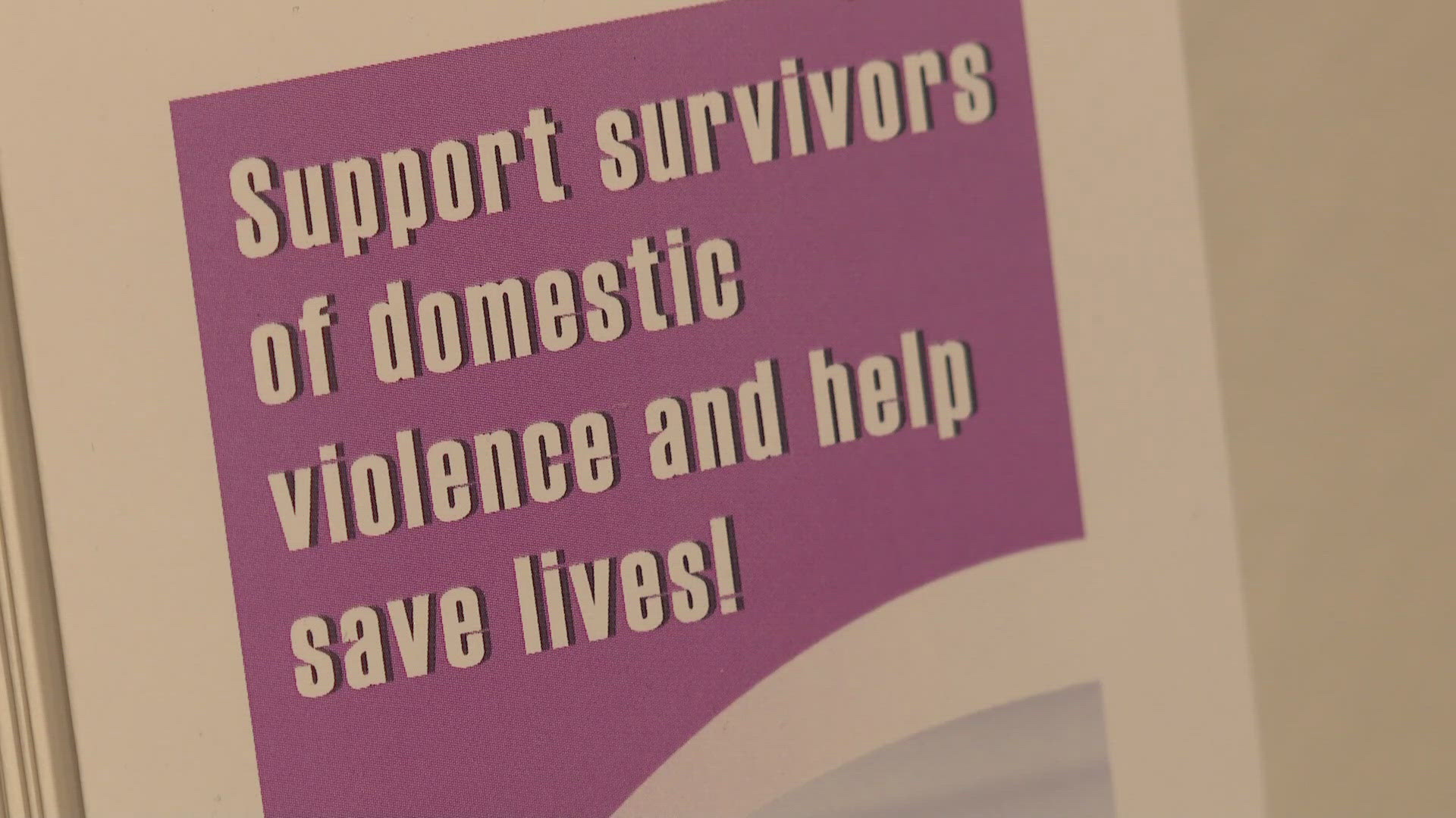 The number of domestic violence deaths in Colorado fell dramatically last year after spiking during the pandemic. In all, 58 people died in 2023.