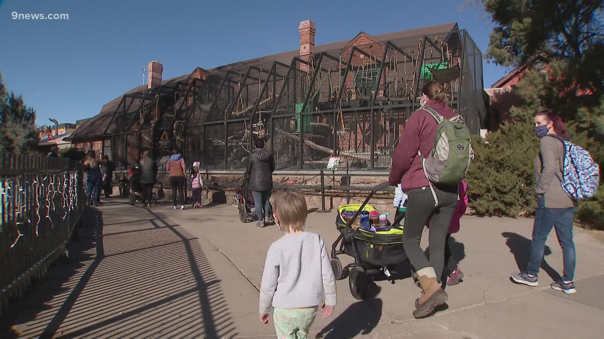 Jon Glasgow shows us how visitors are getting creative to help the Denver Zoo make ends meet during the pandemic.