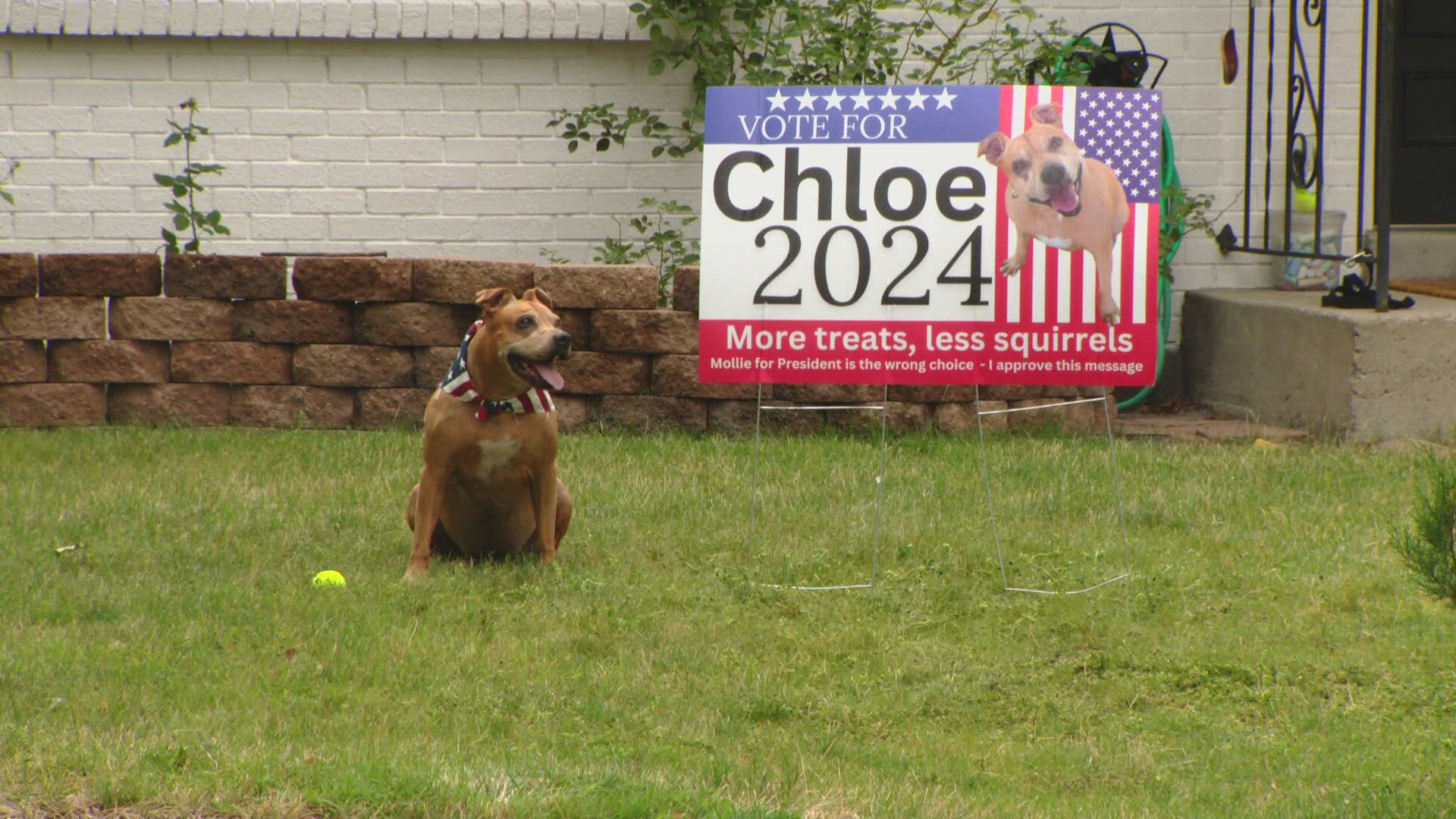 Neighbors in Arvada are having some fun this election season with competing yard signs.