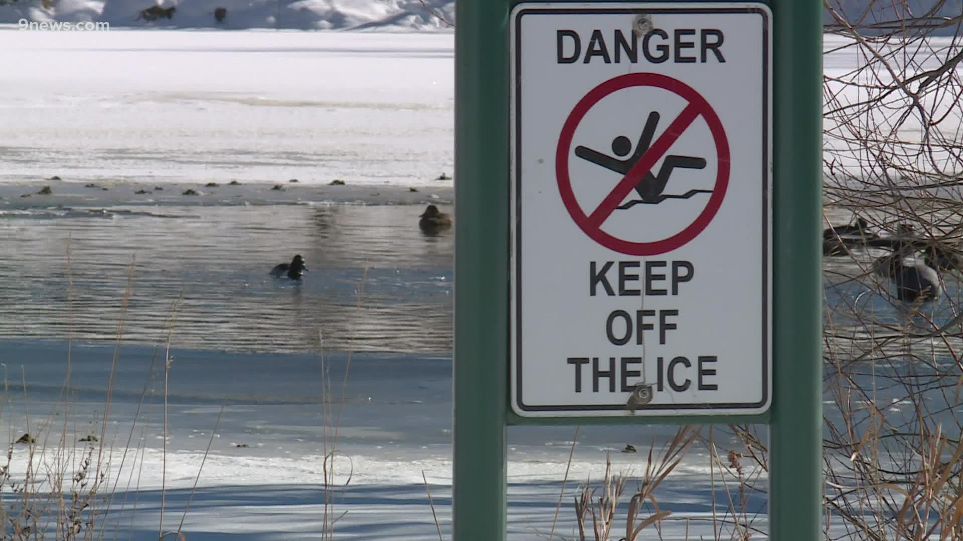 There was thin ice and even open water in a pond that firefighters had to rescue a dog from on Monday.
