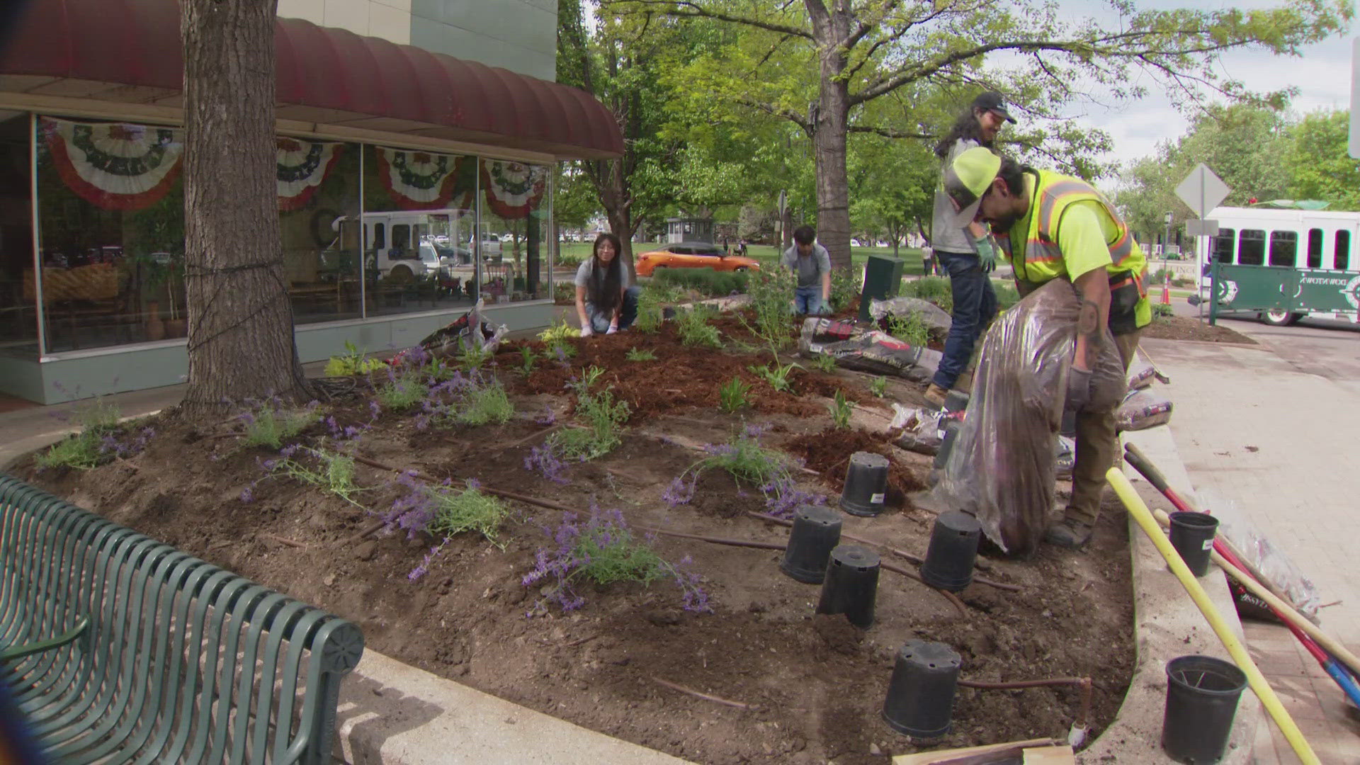 Greeley West High School students planted 800 plants to complete a plaza beautification project, gaining design and irrigation experience.