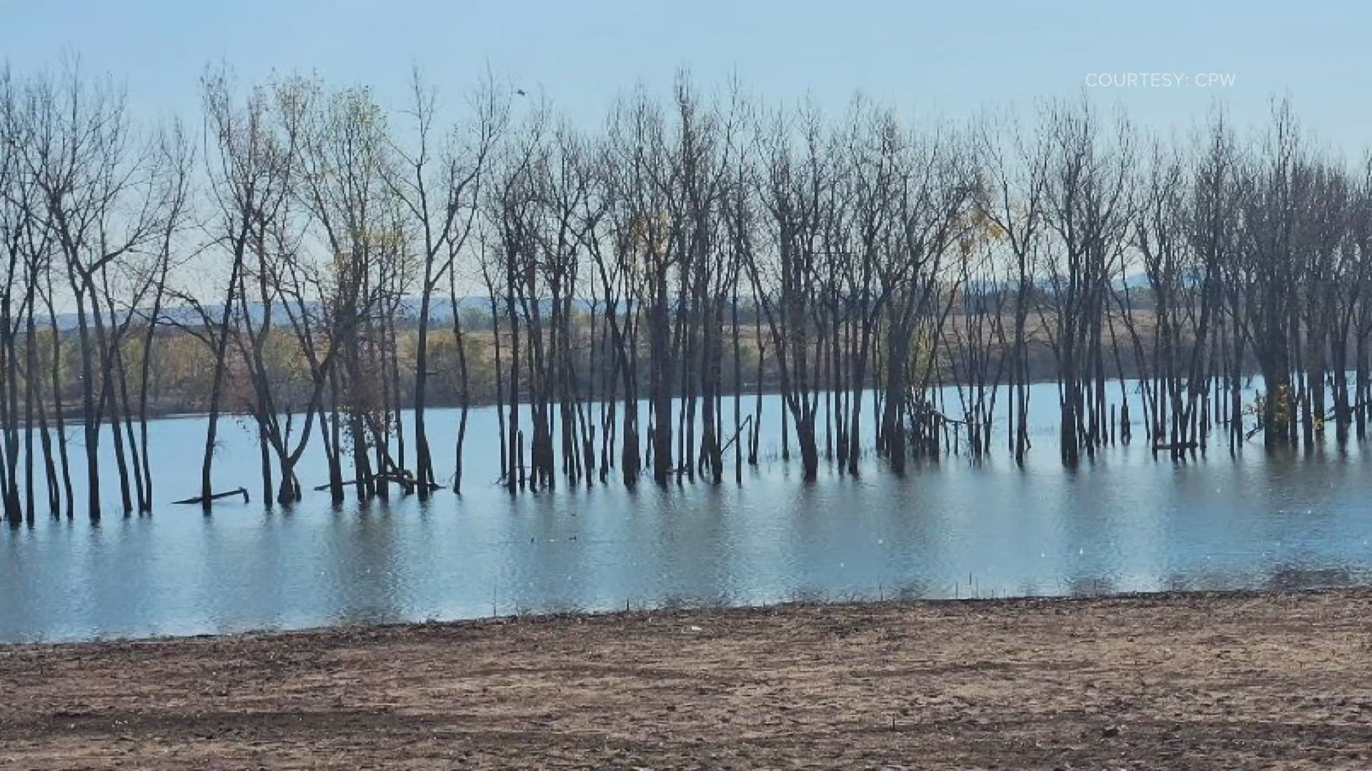 The trees marked for removal are dead or dying, and they make up less than 1% of the total trees in the park, officials said.