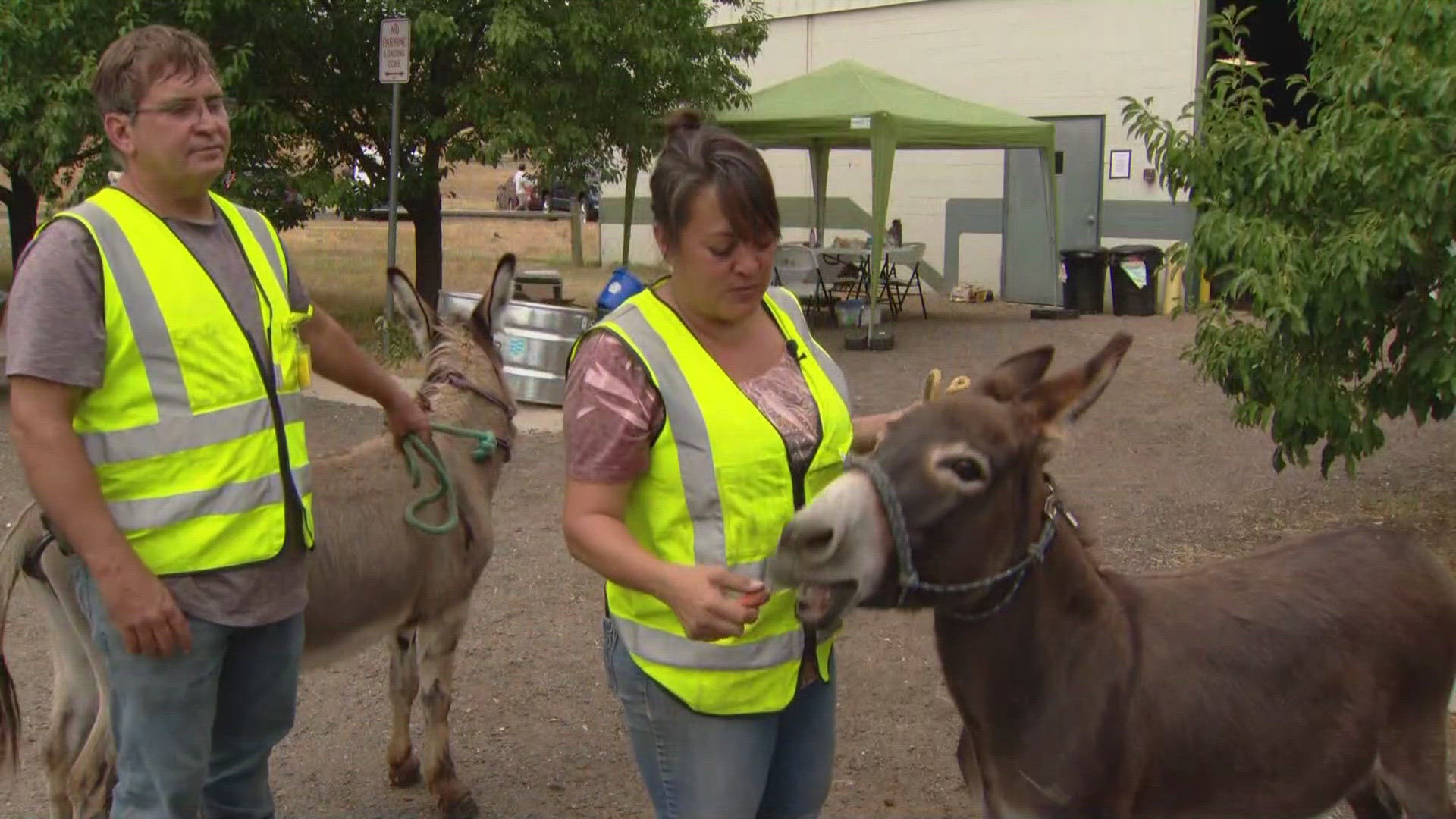 Most of the animals at the fairgrounds Wednesday were evacuated from the Quarry Fire.