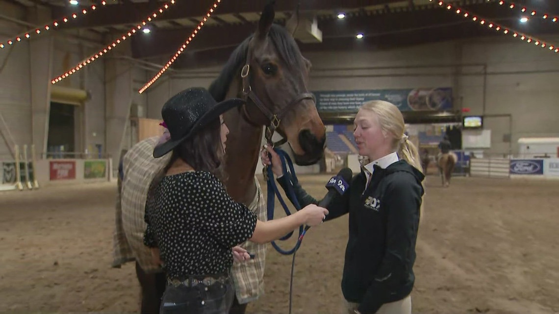 Horse jumping competition at the National Western Stock Show