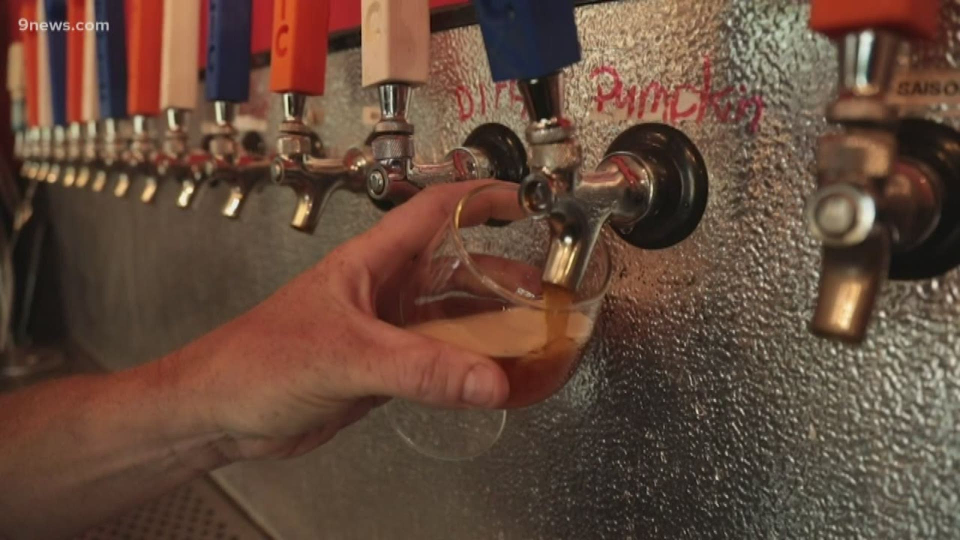 It's that time of year! Pumpkin Beer is brewing across the Front Range, so Kylie Bearse tasted the batch at Frolic Brewing in Westminster.