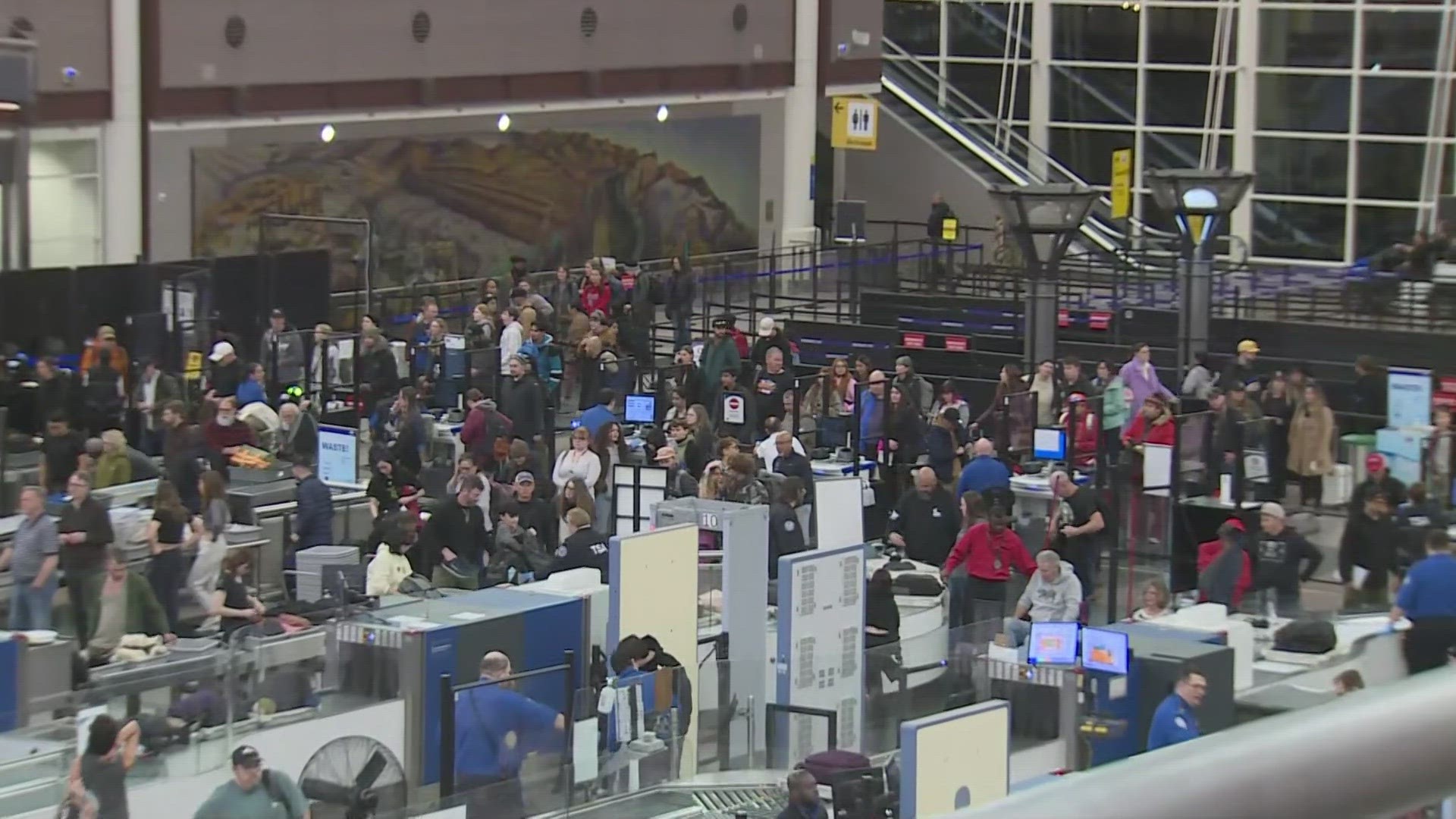 A winter storm has caused hundreds of flights to be canceled at Denver International Airport on Thursday.