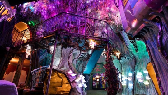 meow wolf denver opening date