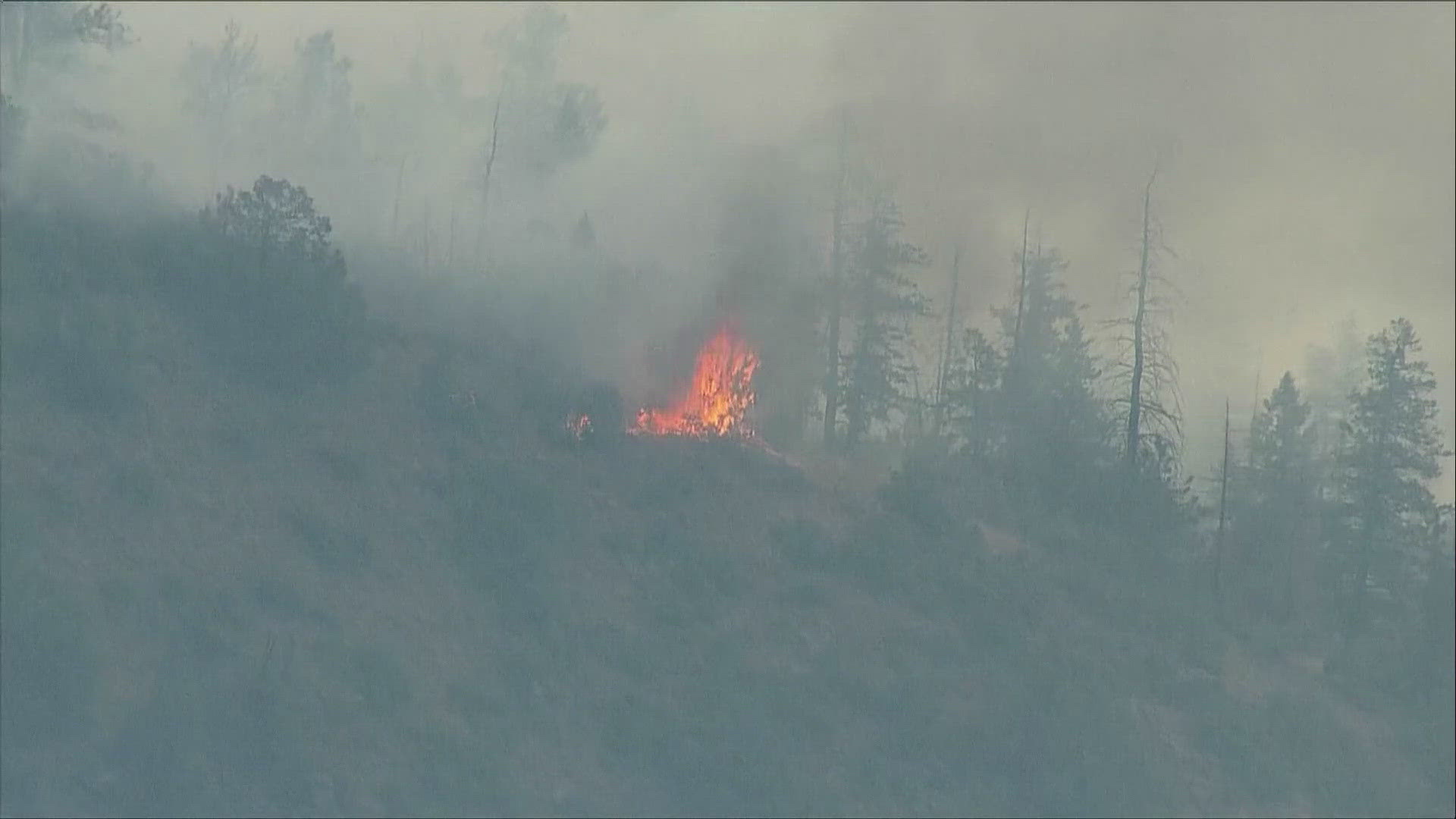 Firefighters battling the Quarry Fire in Jefferson County are also having to deal with a rattlesnake issue.