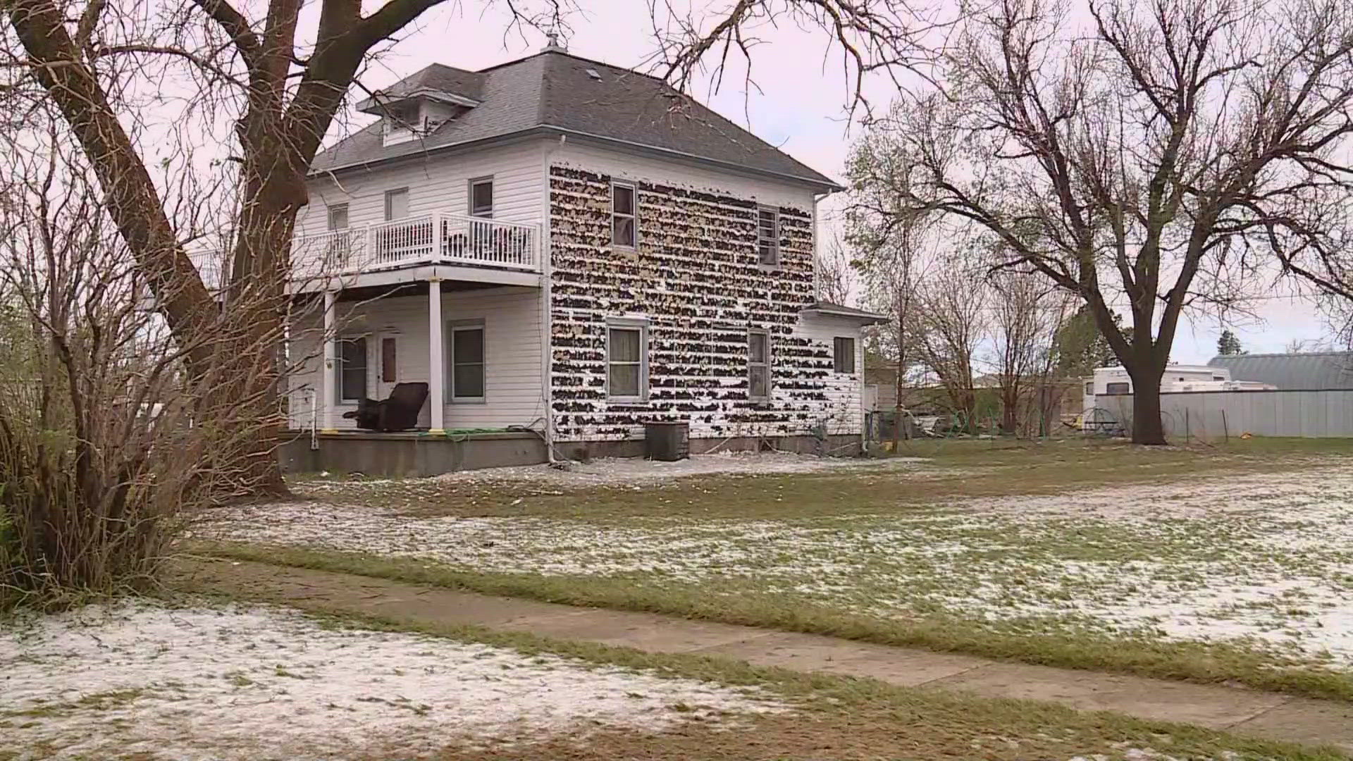 Latest headlines | Damage left behind from baseball-sized hail in Yuma ...