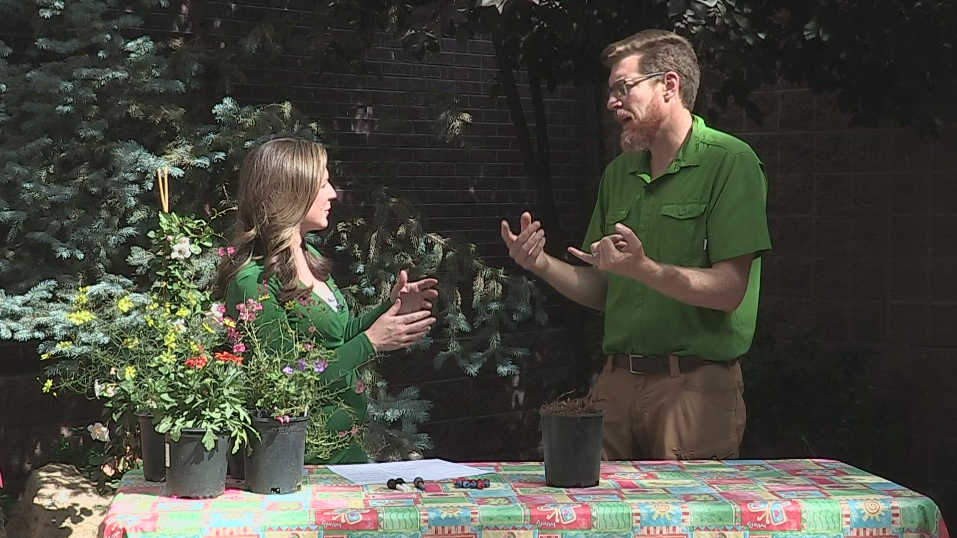 Mike Moore with the Associated Landscape Contractors of Colorado tells us how we can keep our yards and gardens healthy this summer.