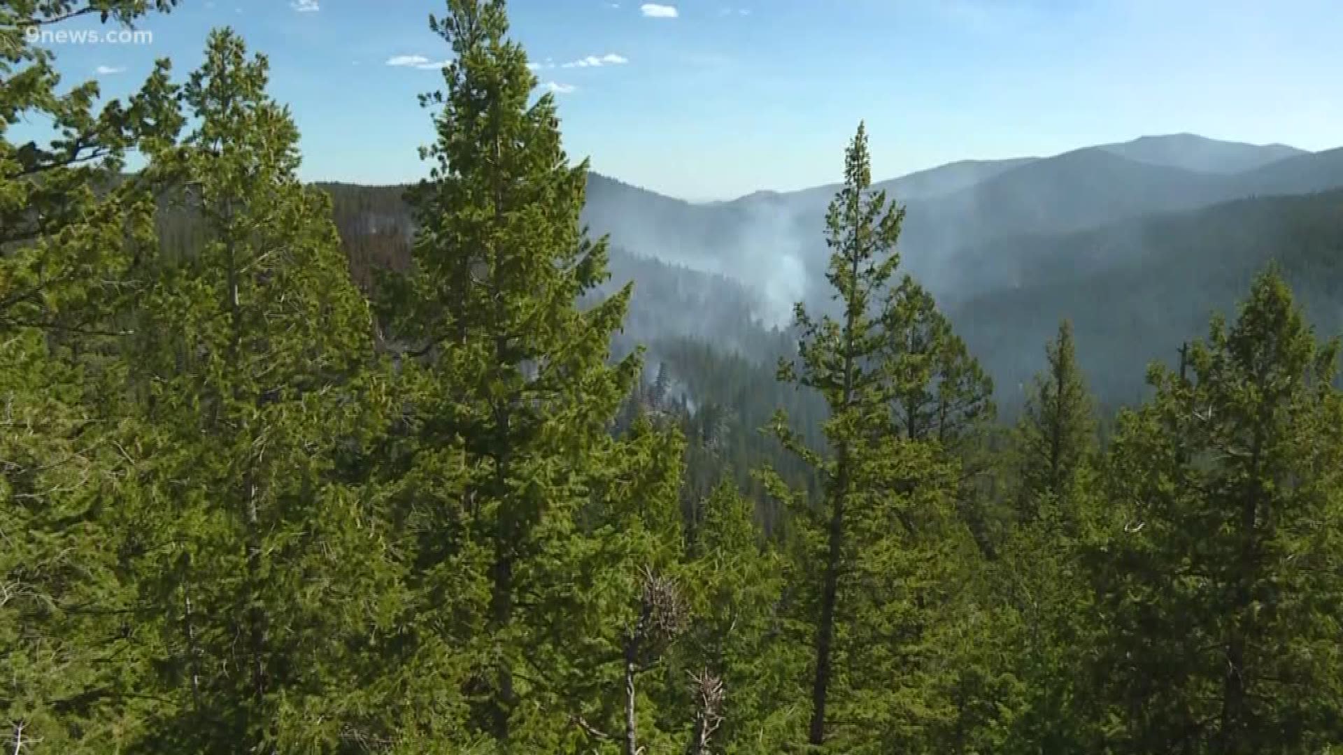 A wildfire burning near Bellevue in northern Colorado has scorched 85 acres and is 25% contained, according to the U.S. Forest Service.