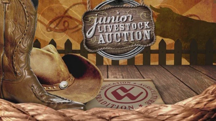 Watch the 2023 National Western Junior Livestock Auction