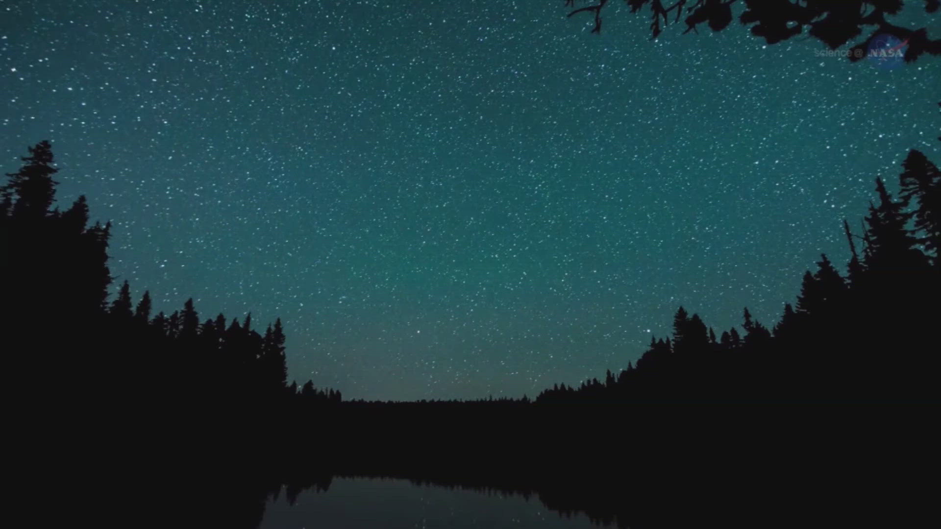 Where's the best place to view the Perseid meteor shower?