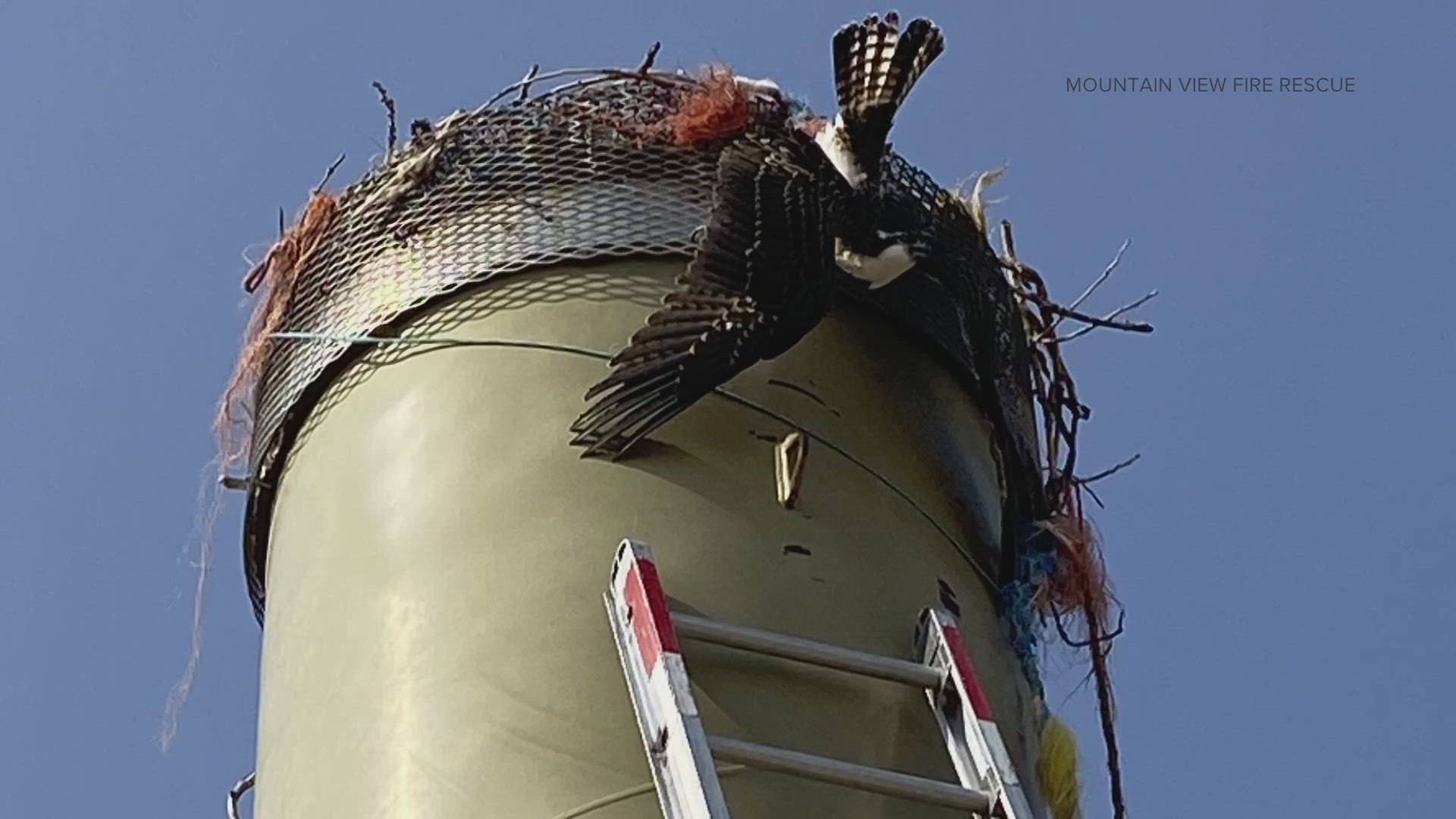 Firefighters with Mountain View Fire Rescue in Weld County lent their helping hands to CPW.