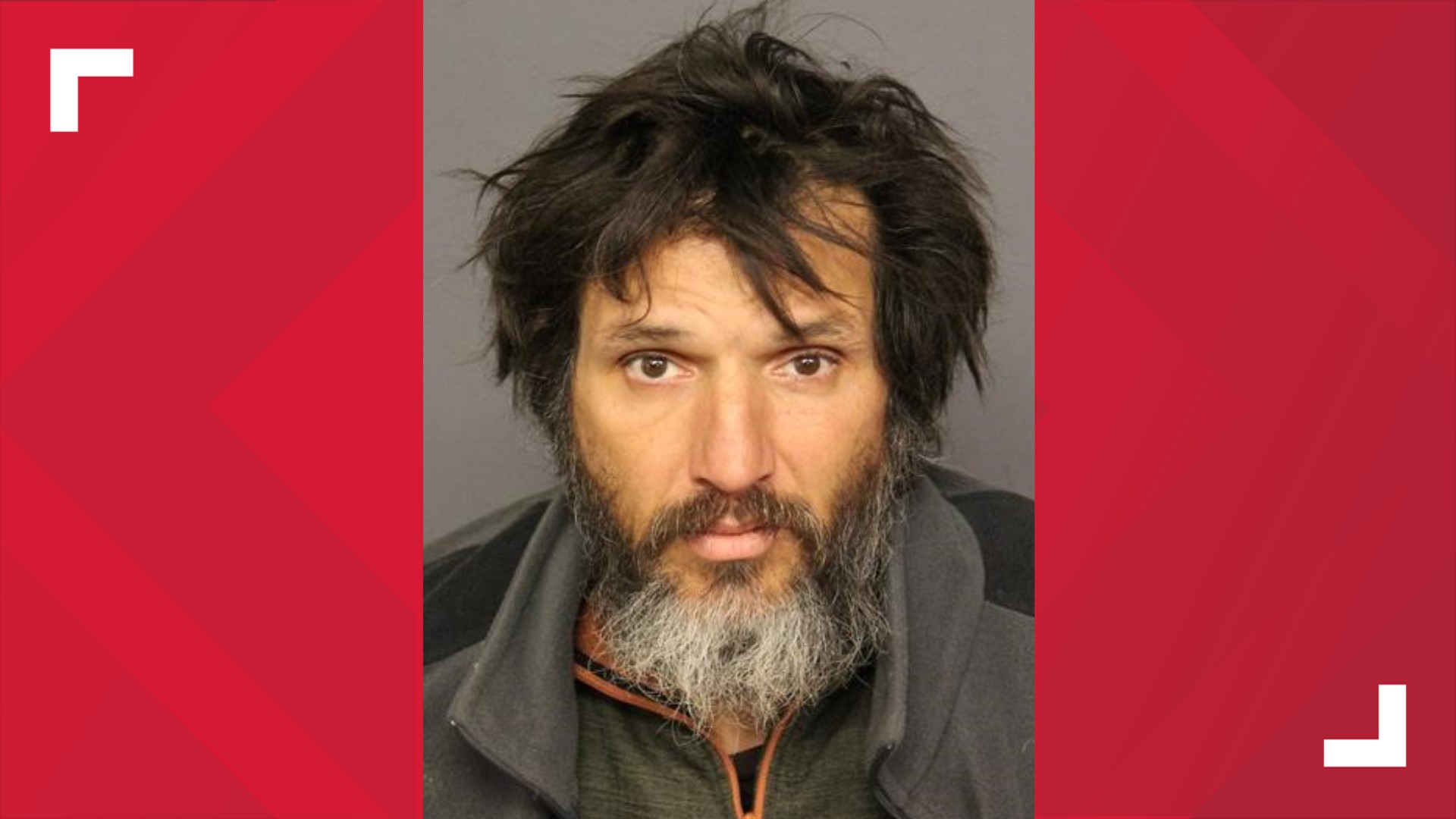 Man charged in stabbing in Denver alley | 9news.com