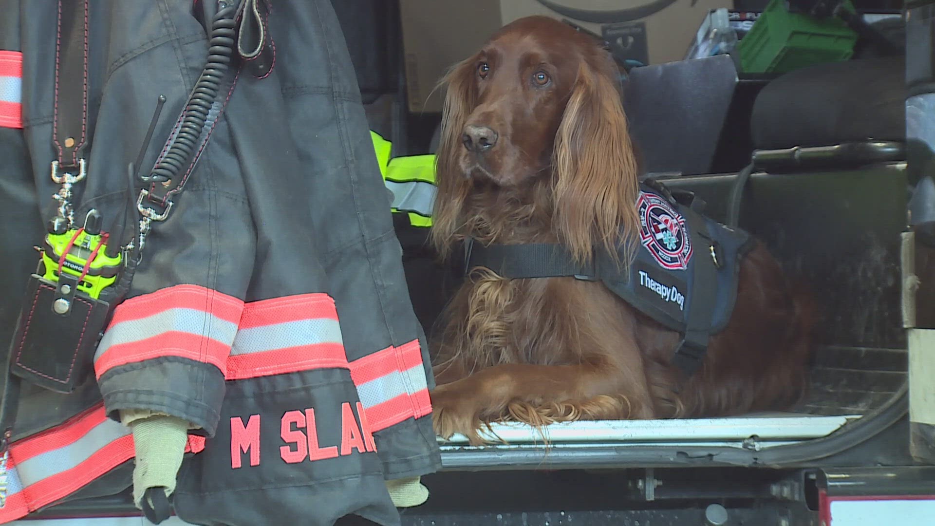 "We’re really taking the stigma of mental health across the fire service and the dogs are a key component to break down those barriers,” said Captain Reid Norwood.