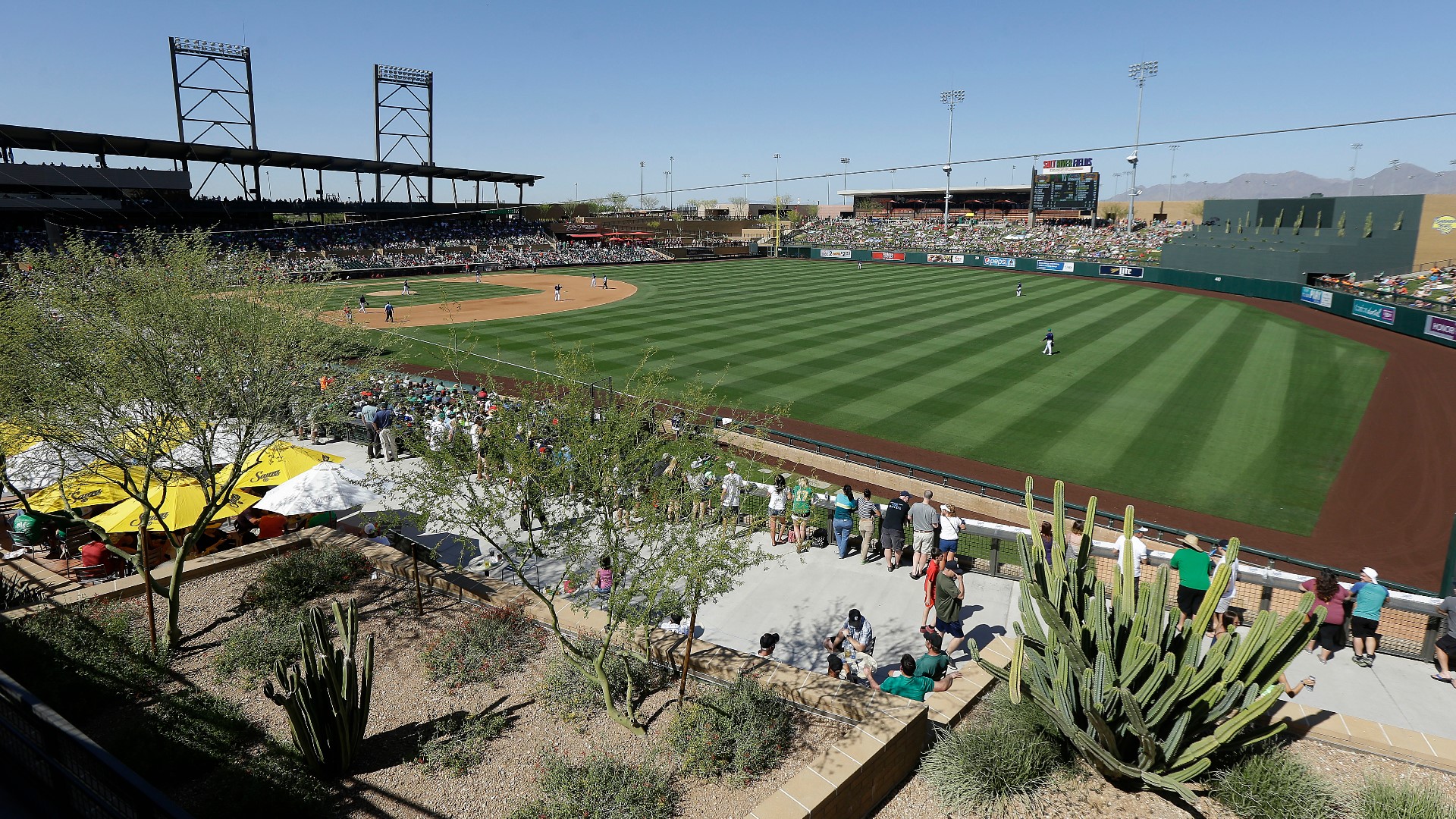 Colorado Rockies Spring Training tickets on sale Saturday