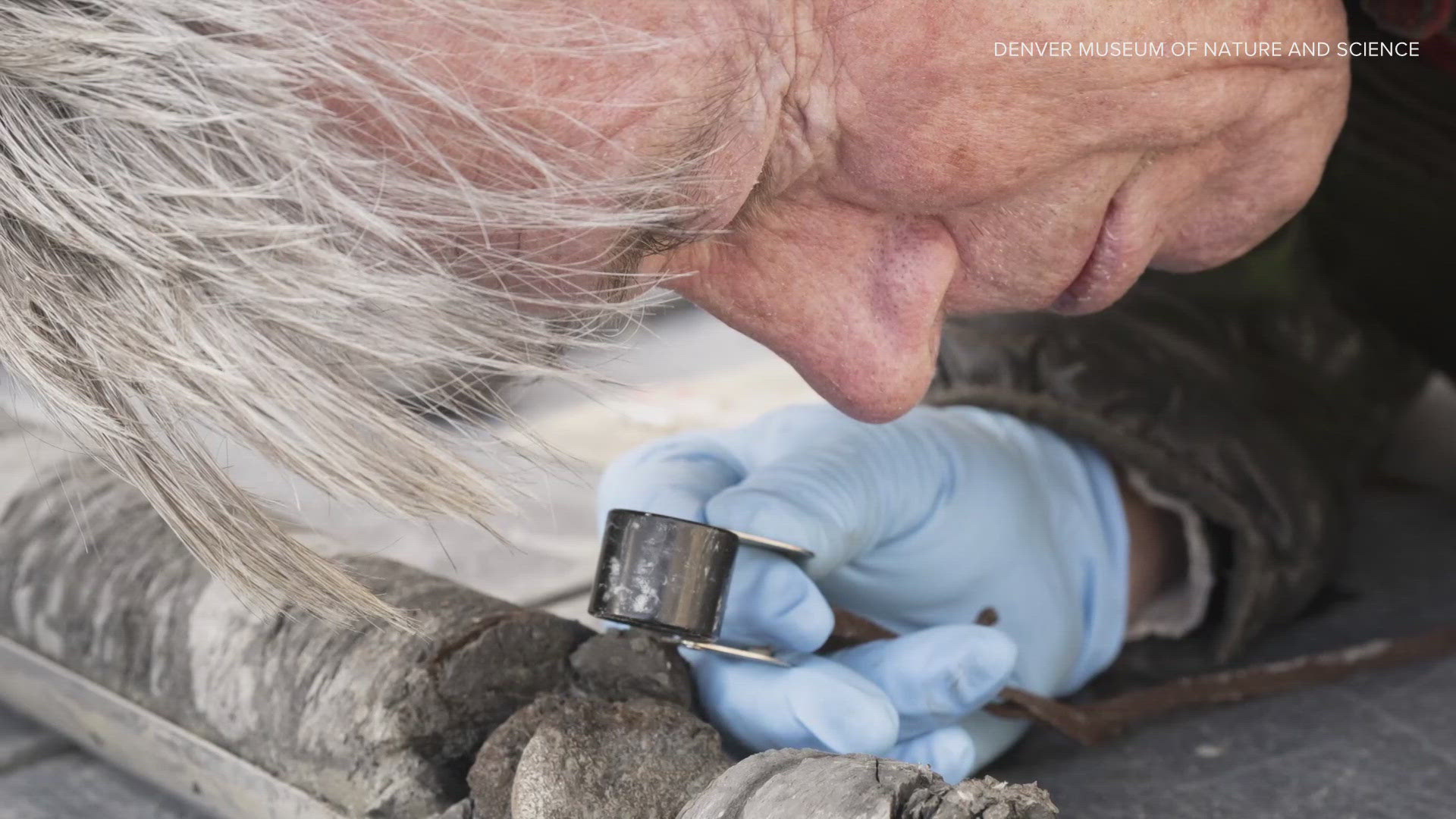 Researchers discovered an incredible surprise after digging up core samples under the Denver Museum of Nature and Science. 