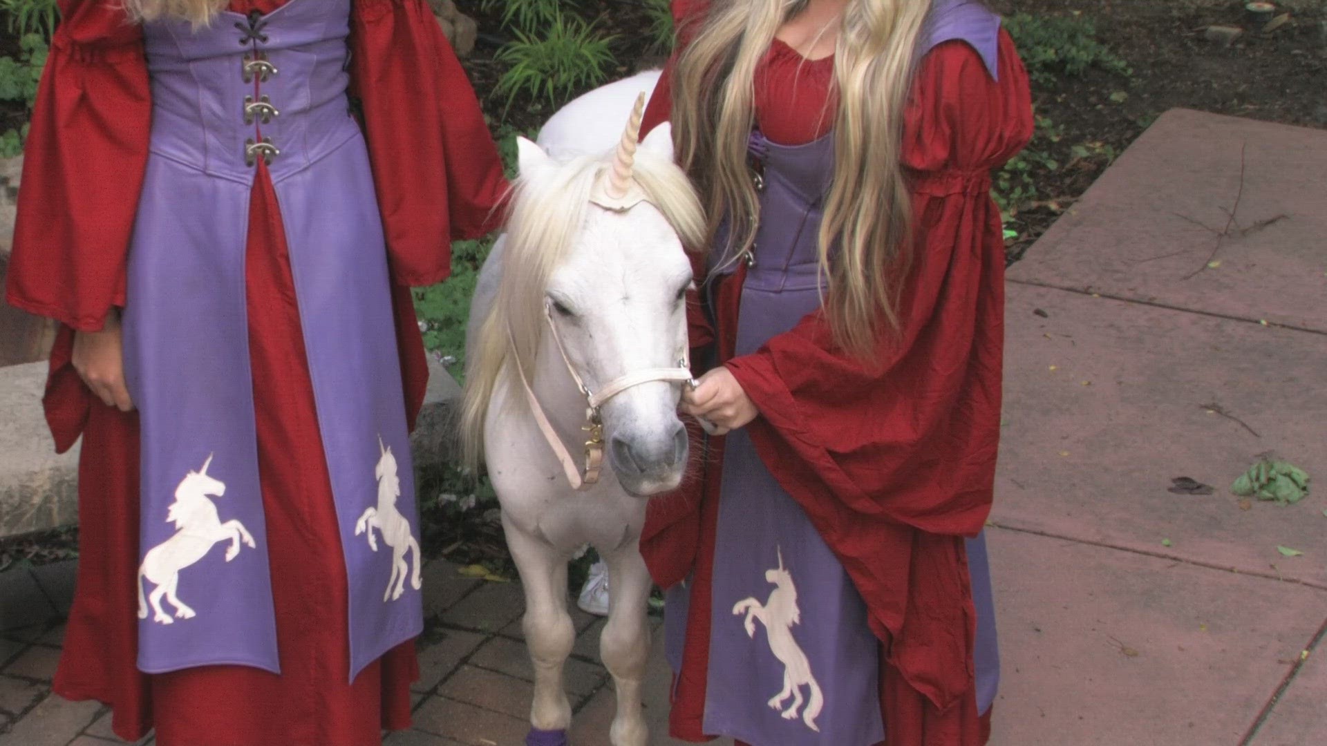The Unicorn Festival is happening at Littleton's Clement Park June 10-11. There will be magical activities, cosplayers and anyone who loves imagination and fun!